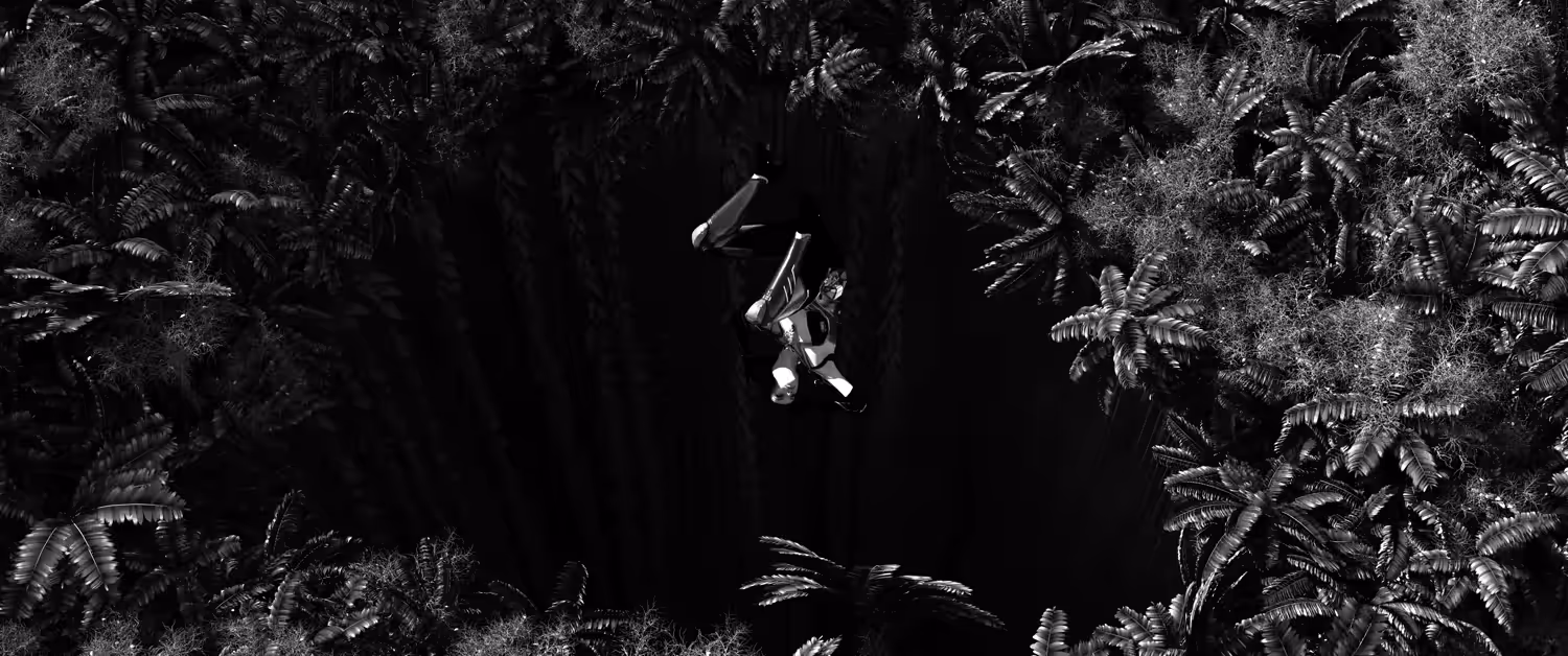 FREEFALL
