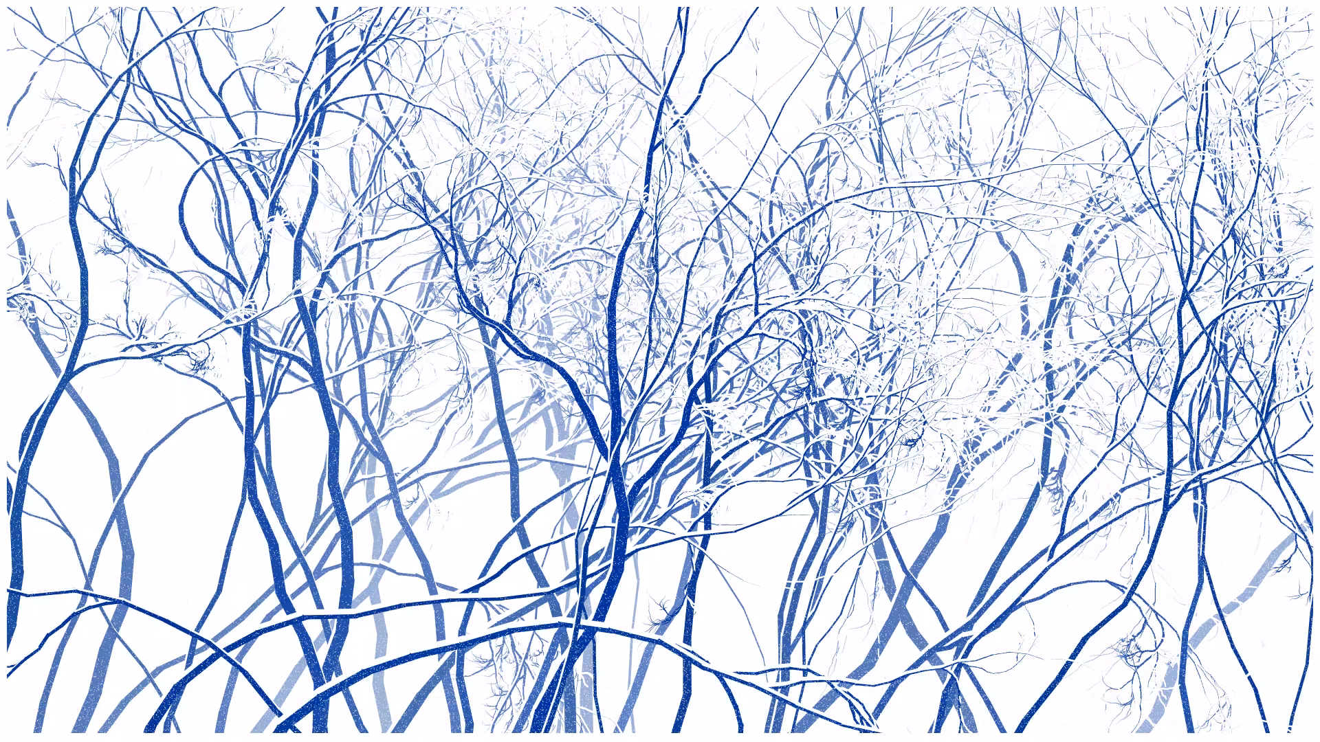 SCHNEEWALD #8