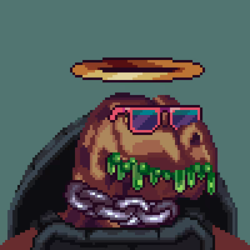 Turtles #33