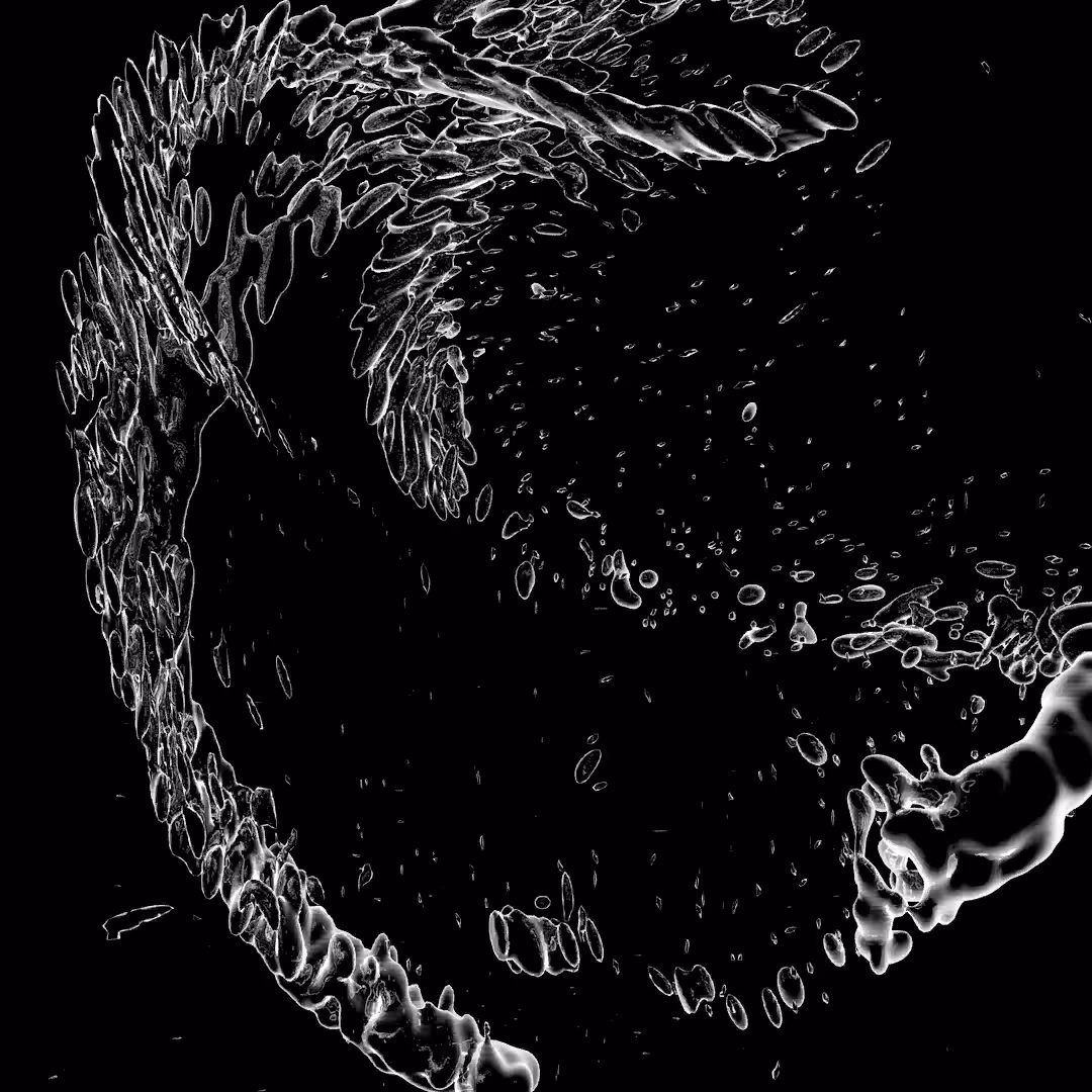 Fluid Flow I