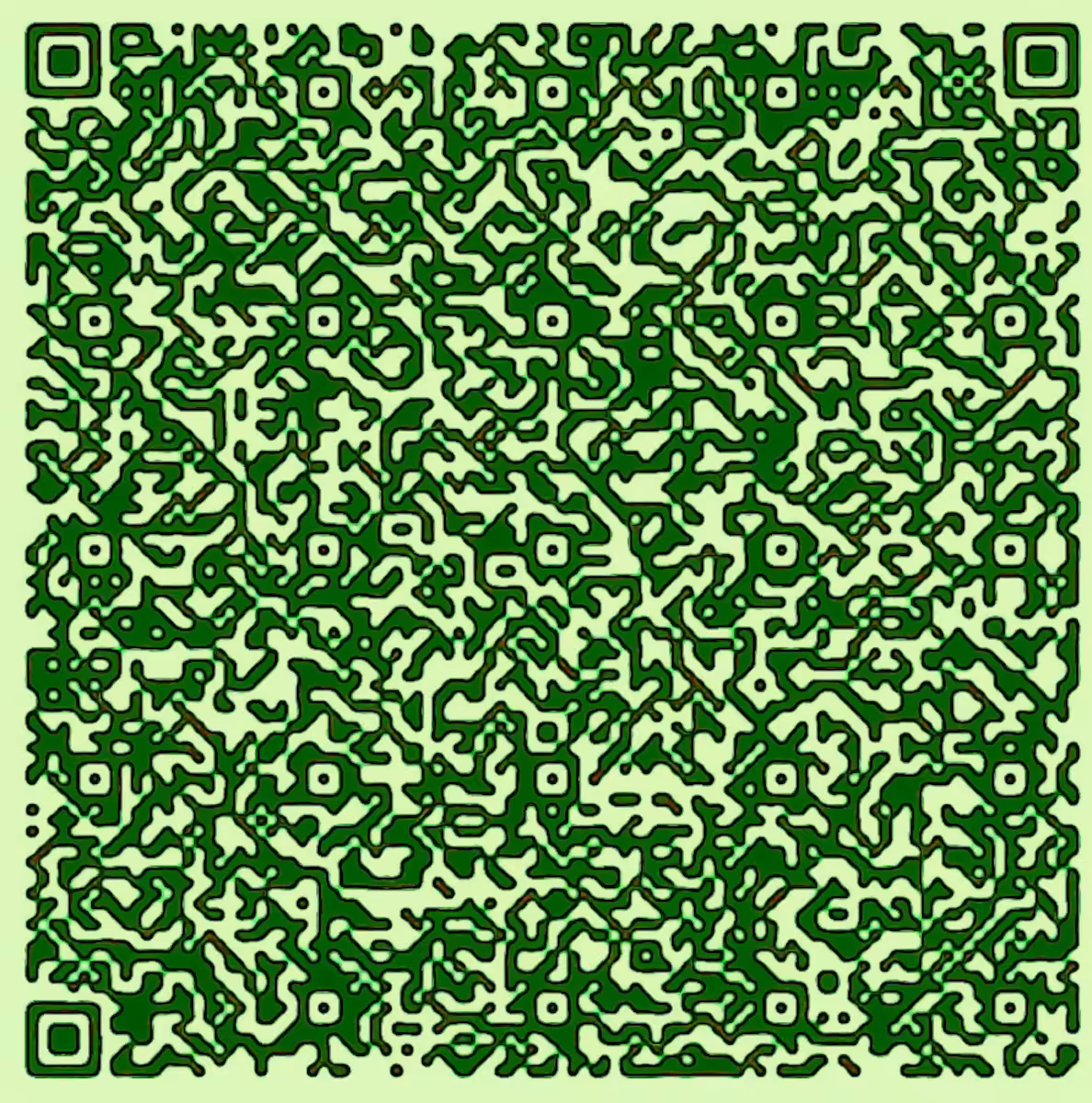 MIRROR QR