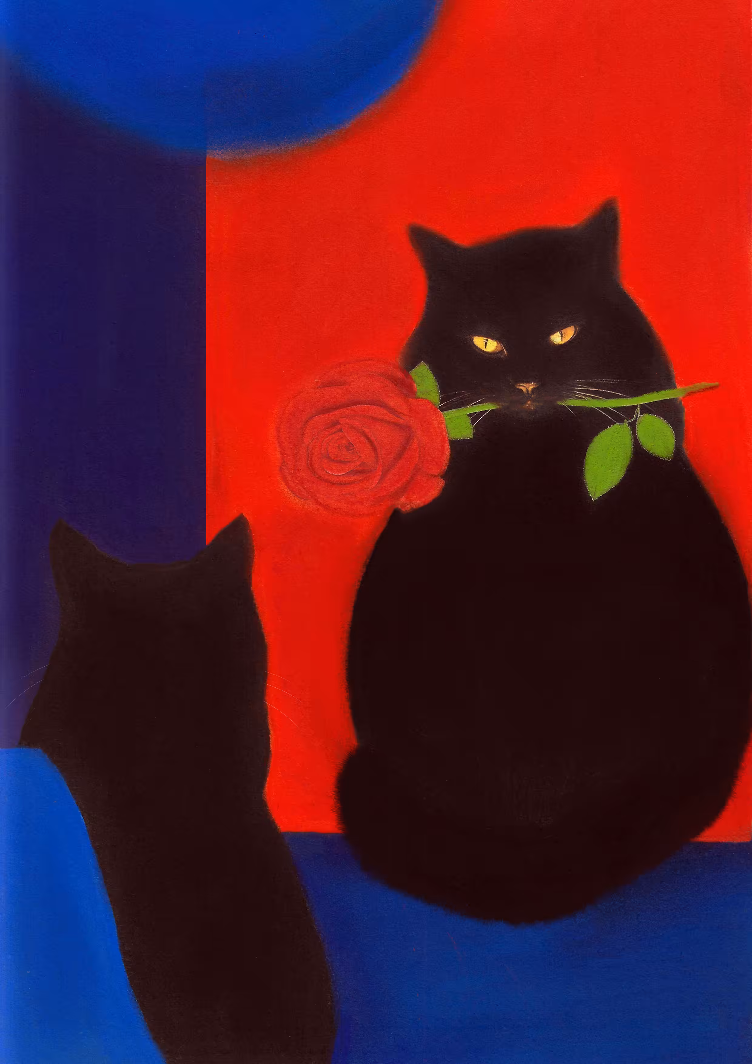 cats&another beautiful pets: She&he