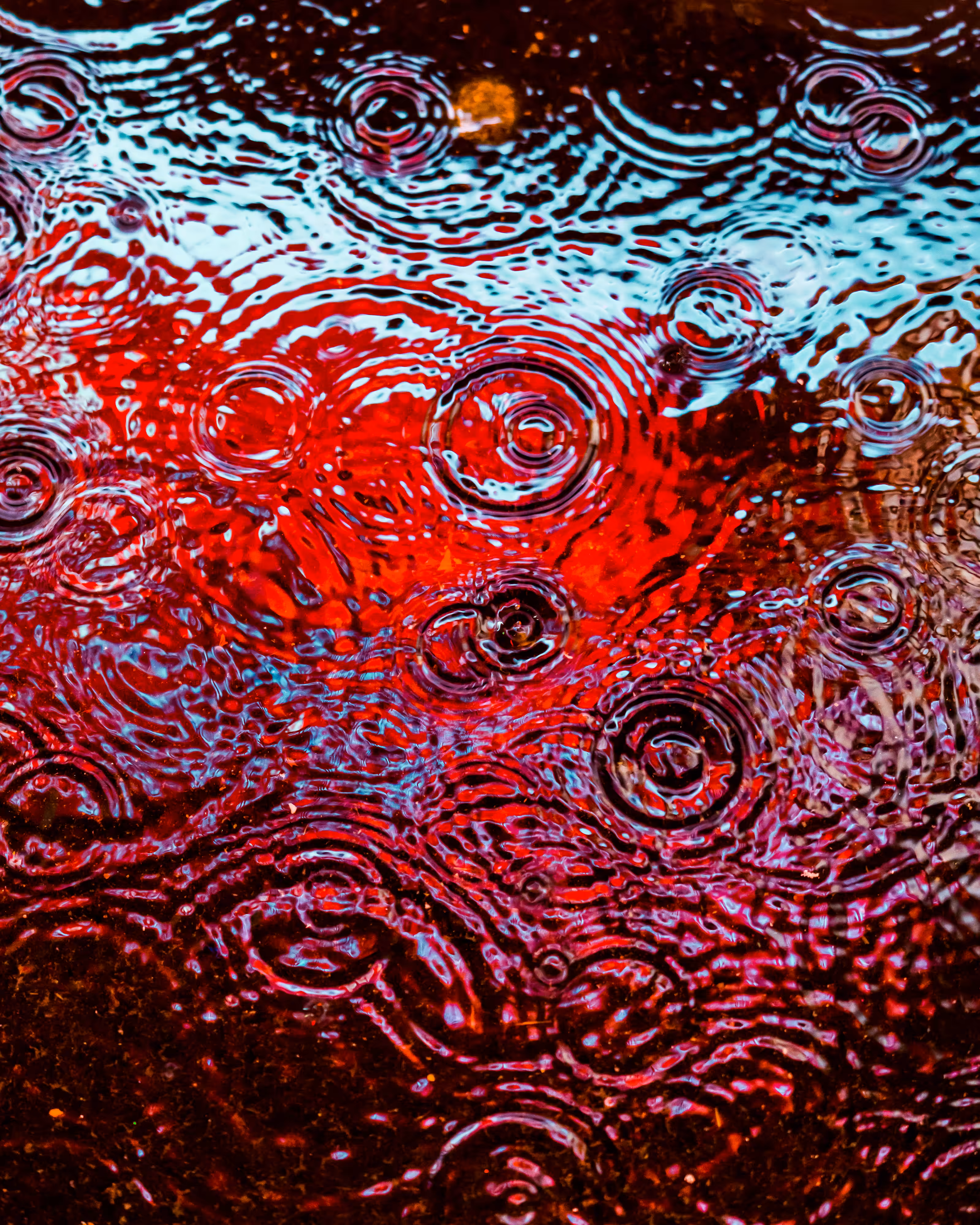 DRIP DROP: DRIP #801