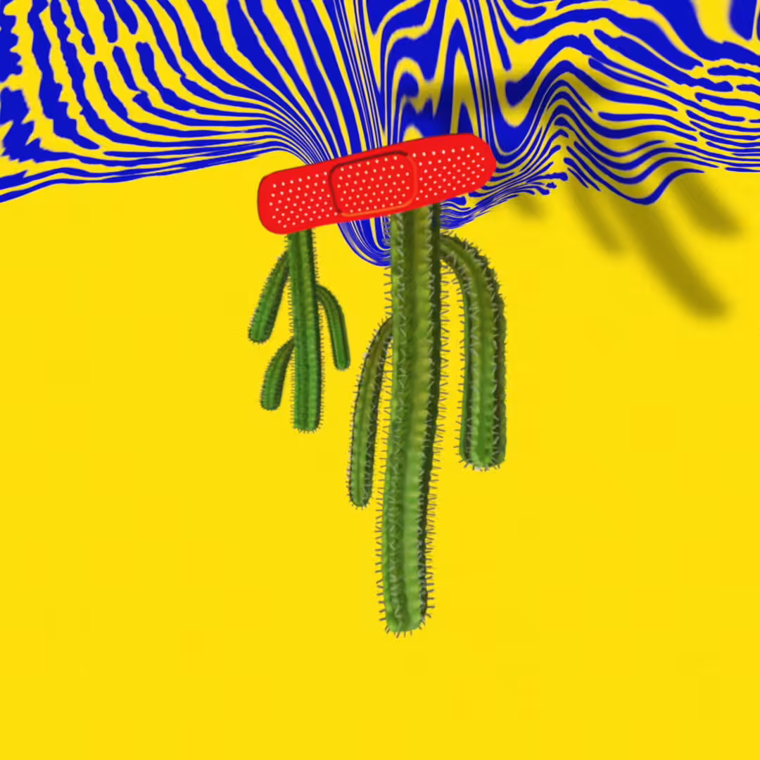#03. X-Border BandAid (revised)