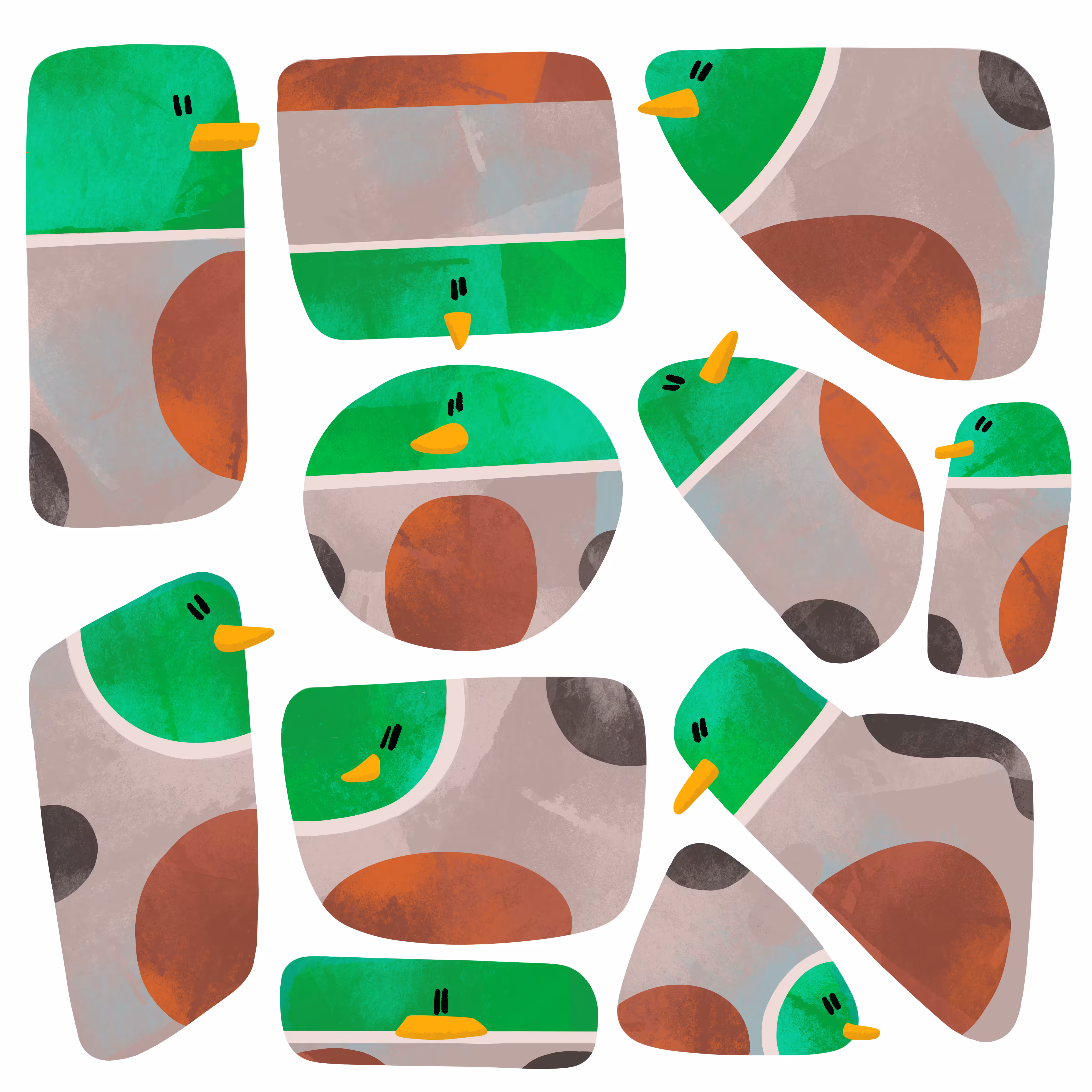 Just some Ducks!!