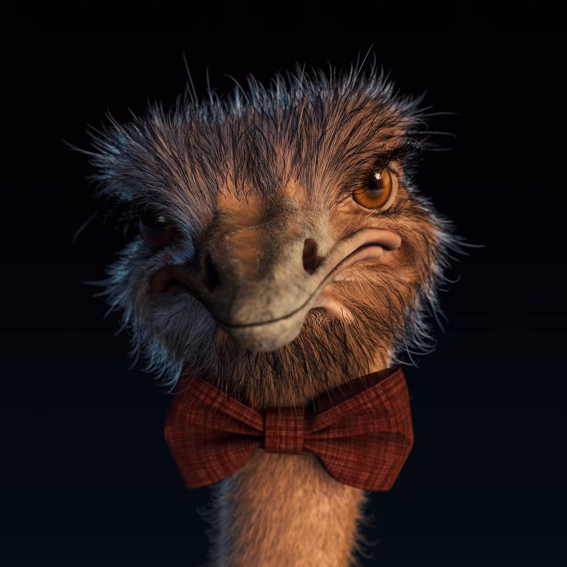 Mr Ostrich