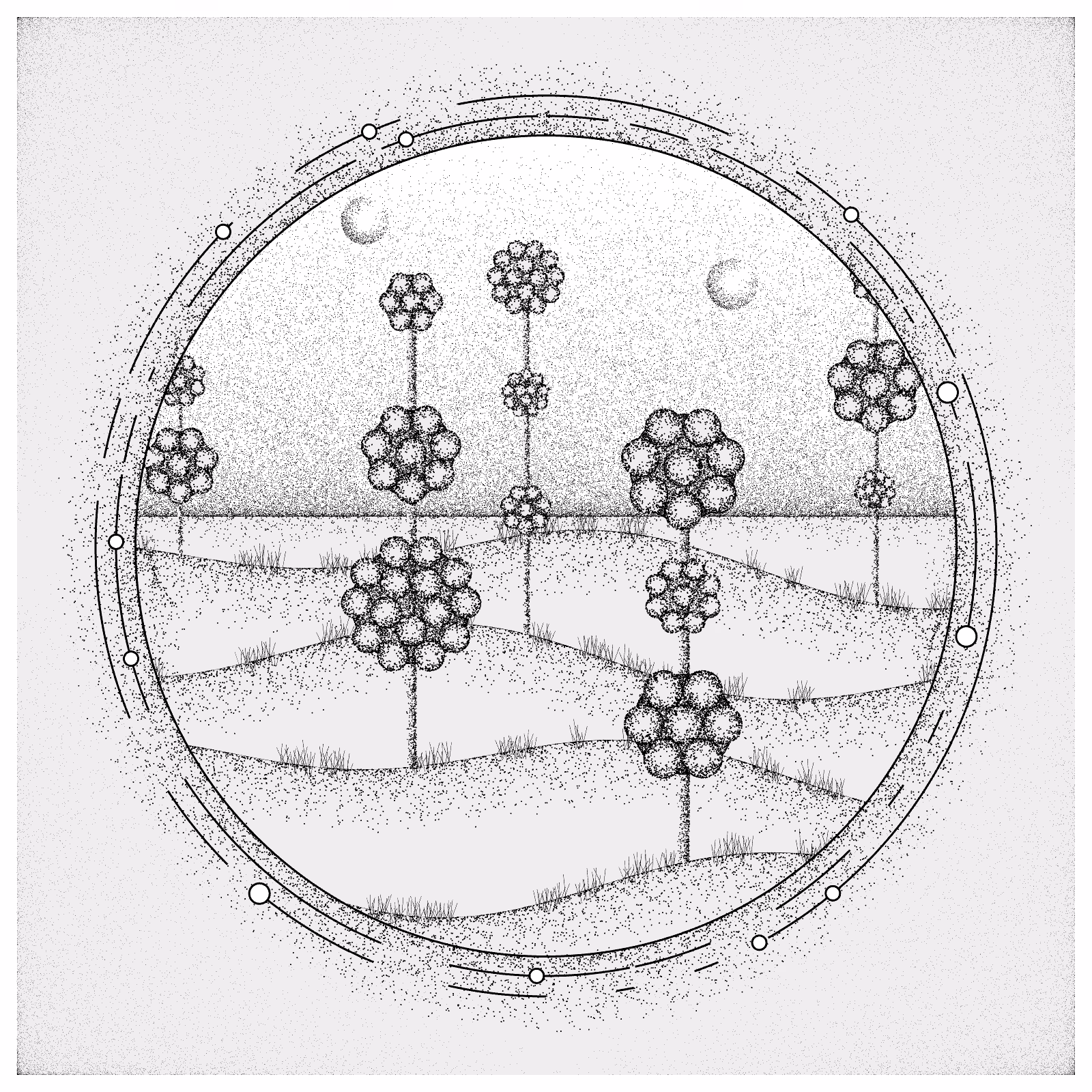 EXPLORING SPACE FLOWERS #56