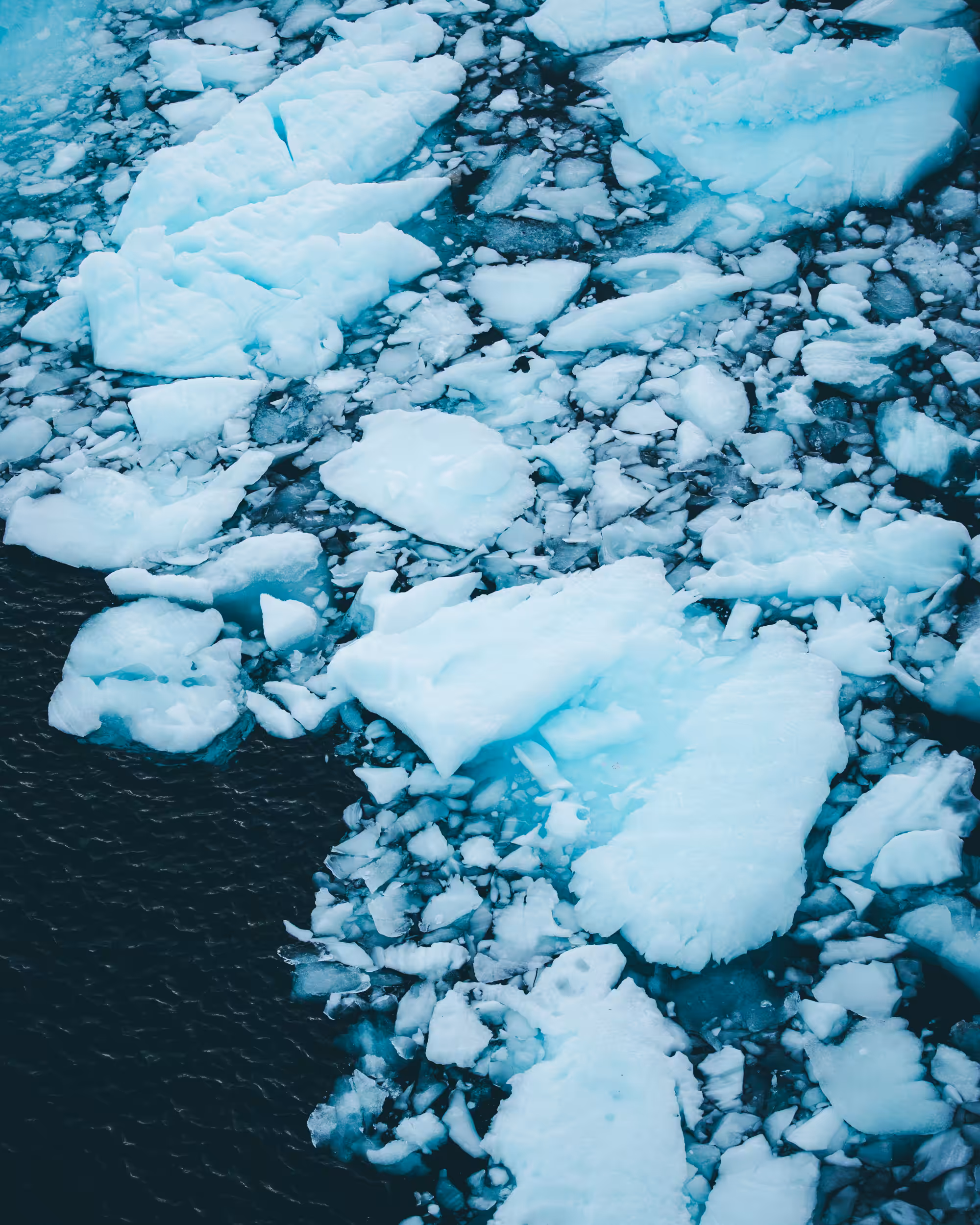 Lands of Ice #1