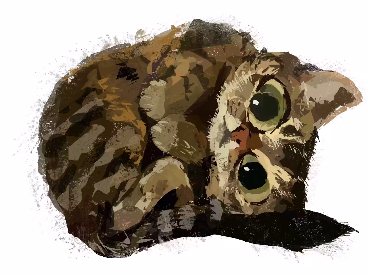 Cat 1