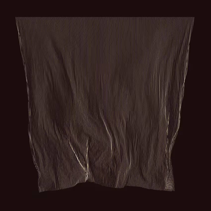 Fibril #455
