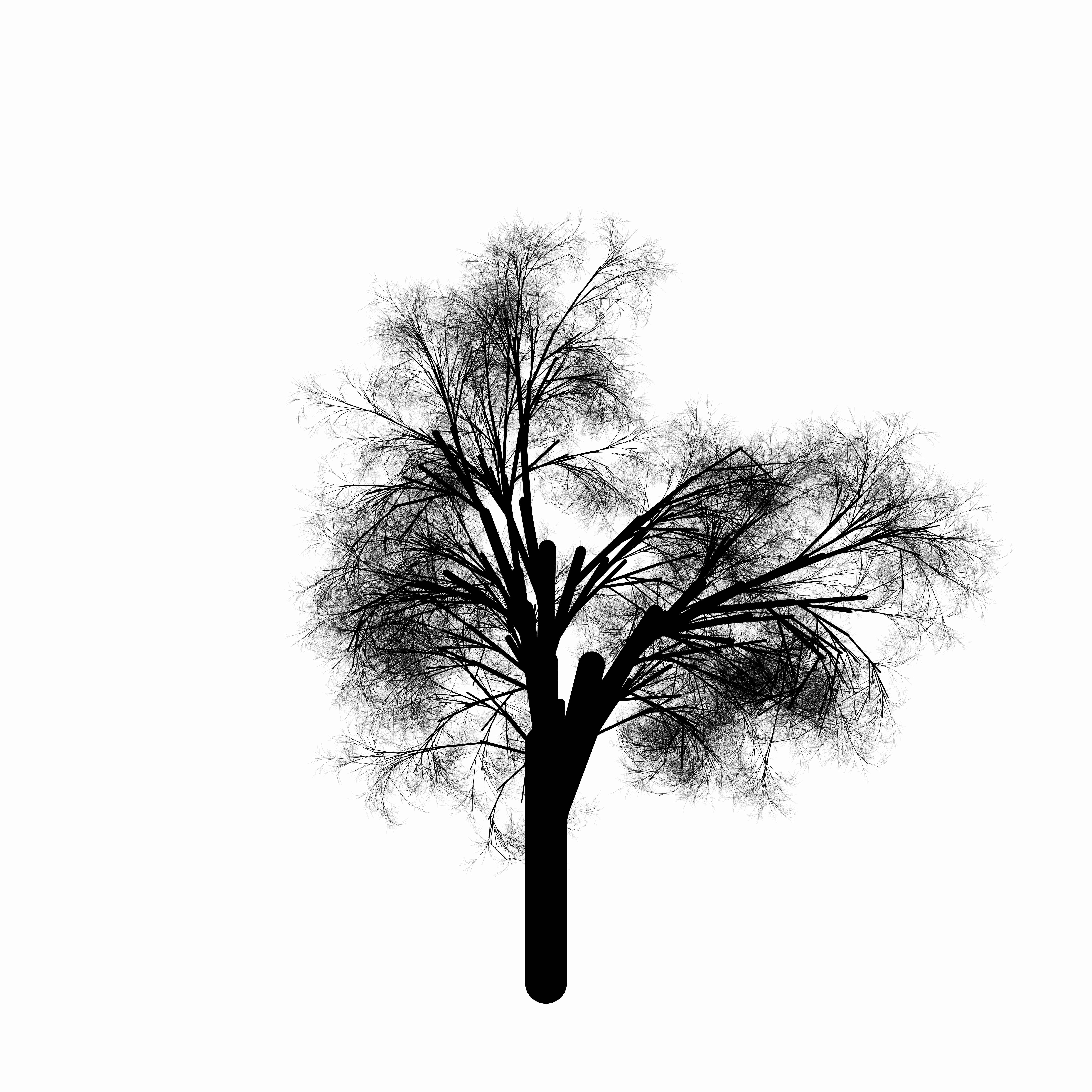 qTrees1 #375