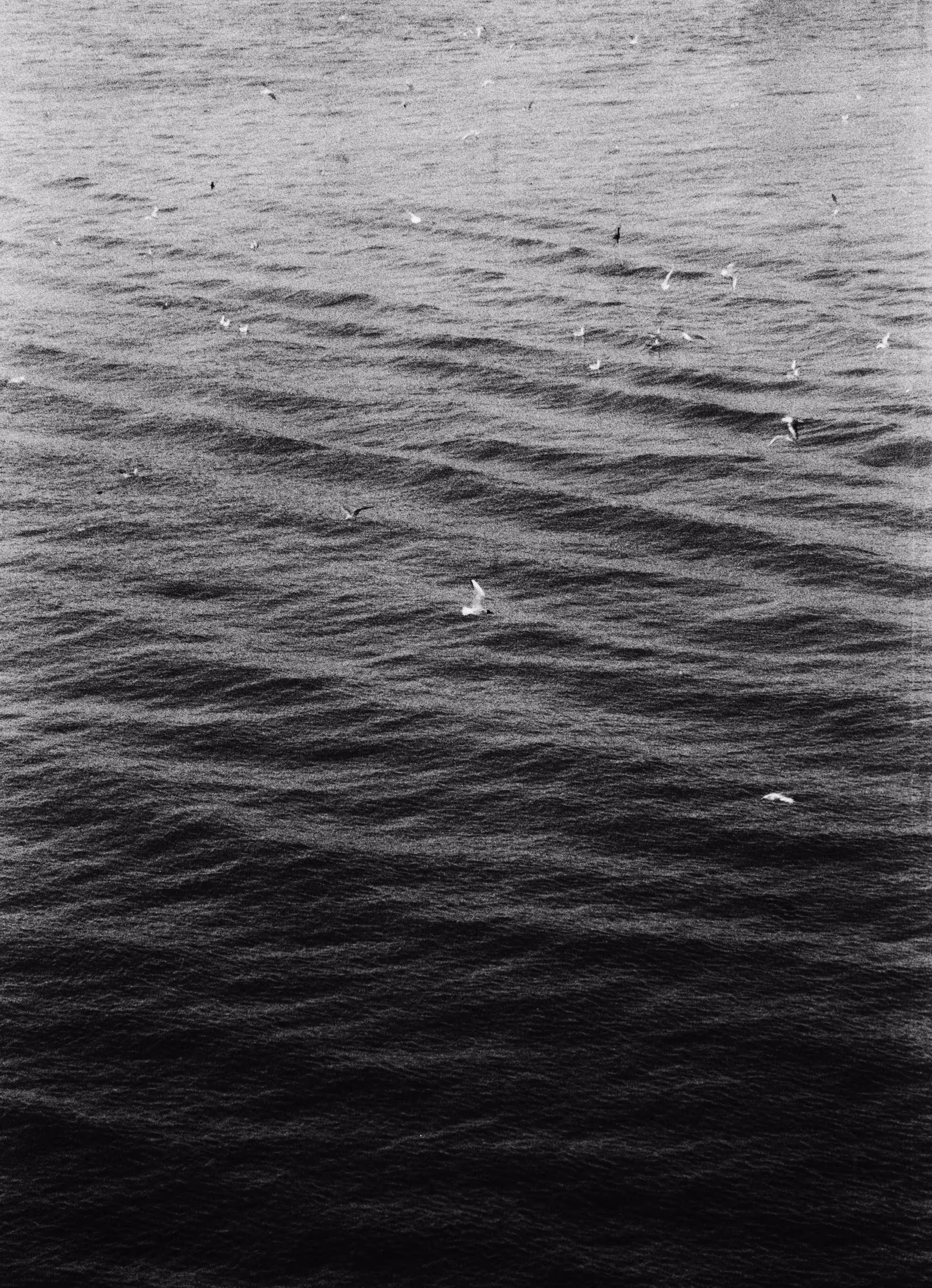 FLY: VOID