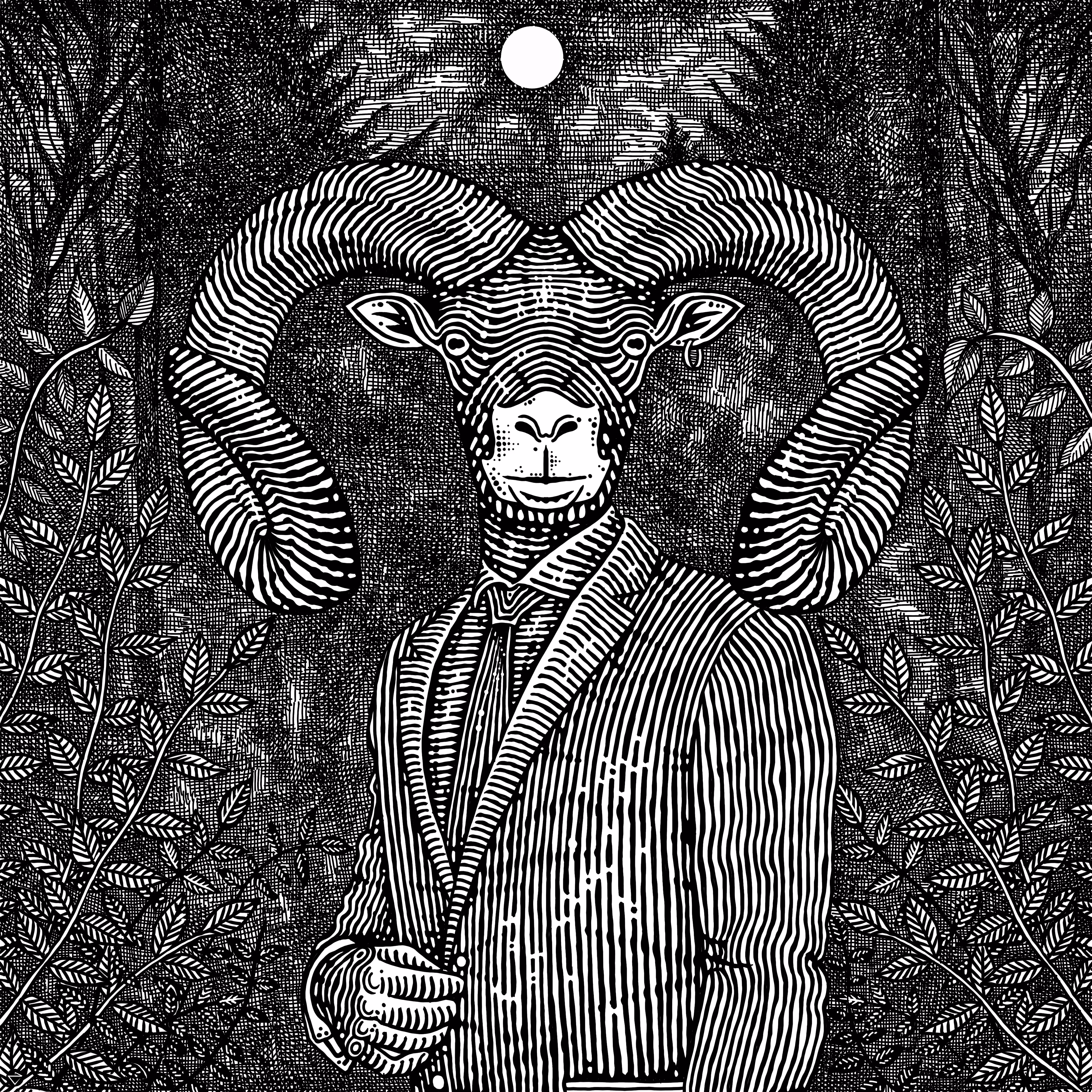 The Groom