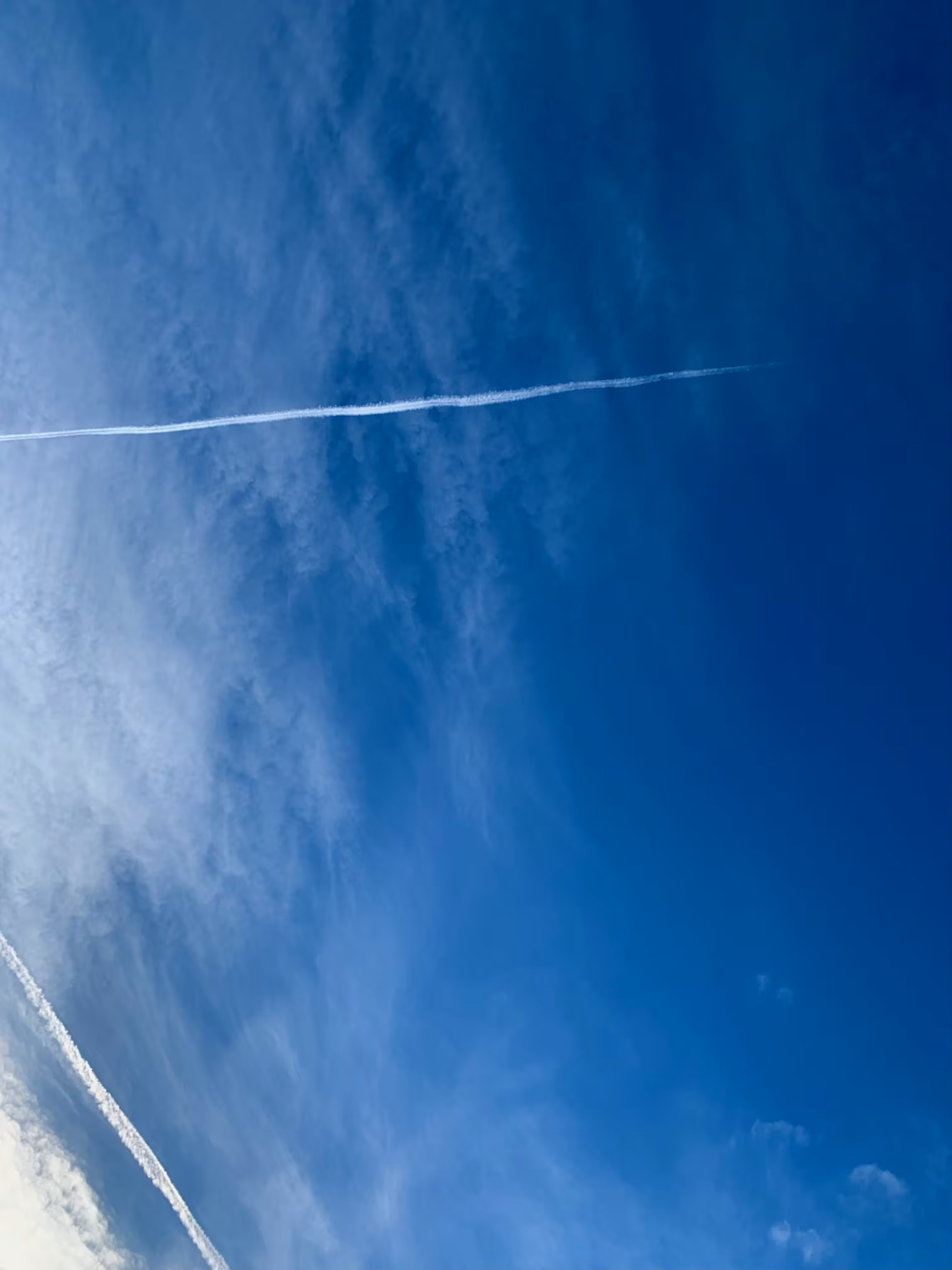 Blue Horizon