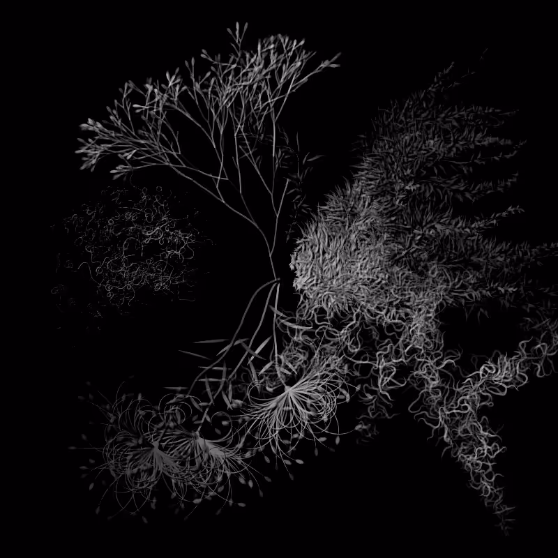 Botanical Ghosts #173