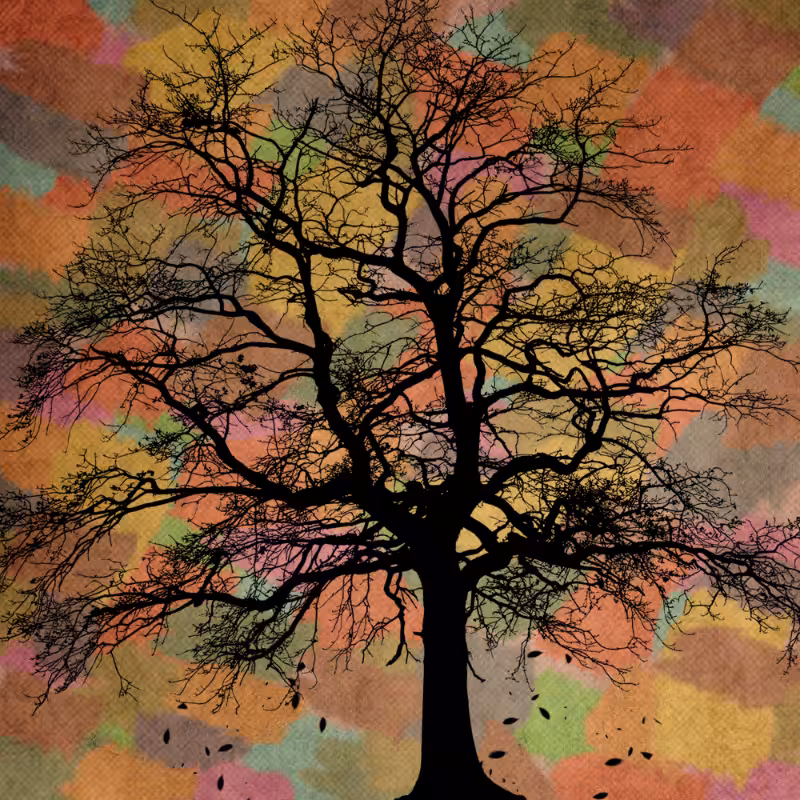 Autumn #4