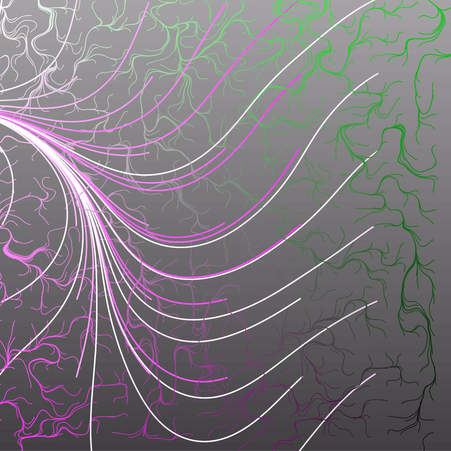 Neurolotus #5