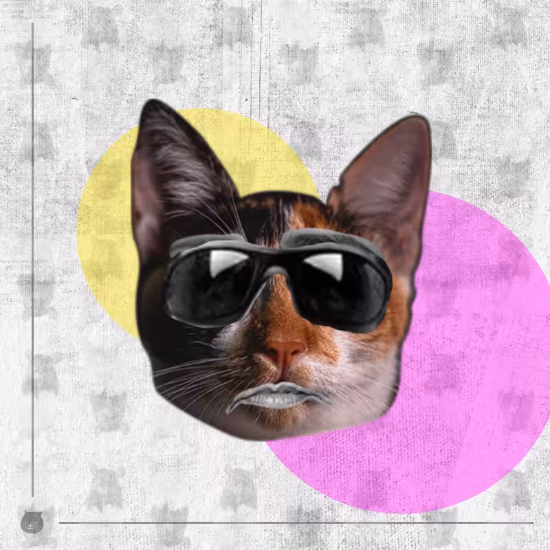 Kittenstein #6