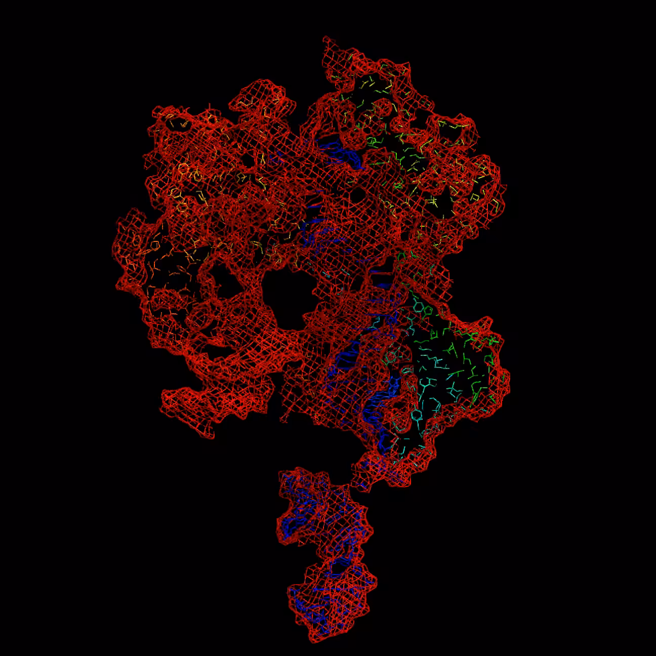 A CRISPR View (CRISPR/Cas9) ripped