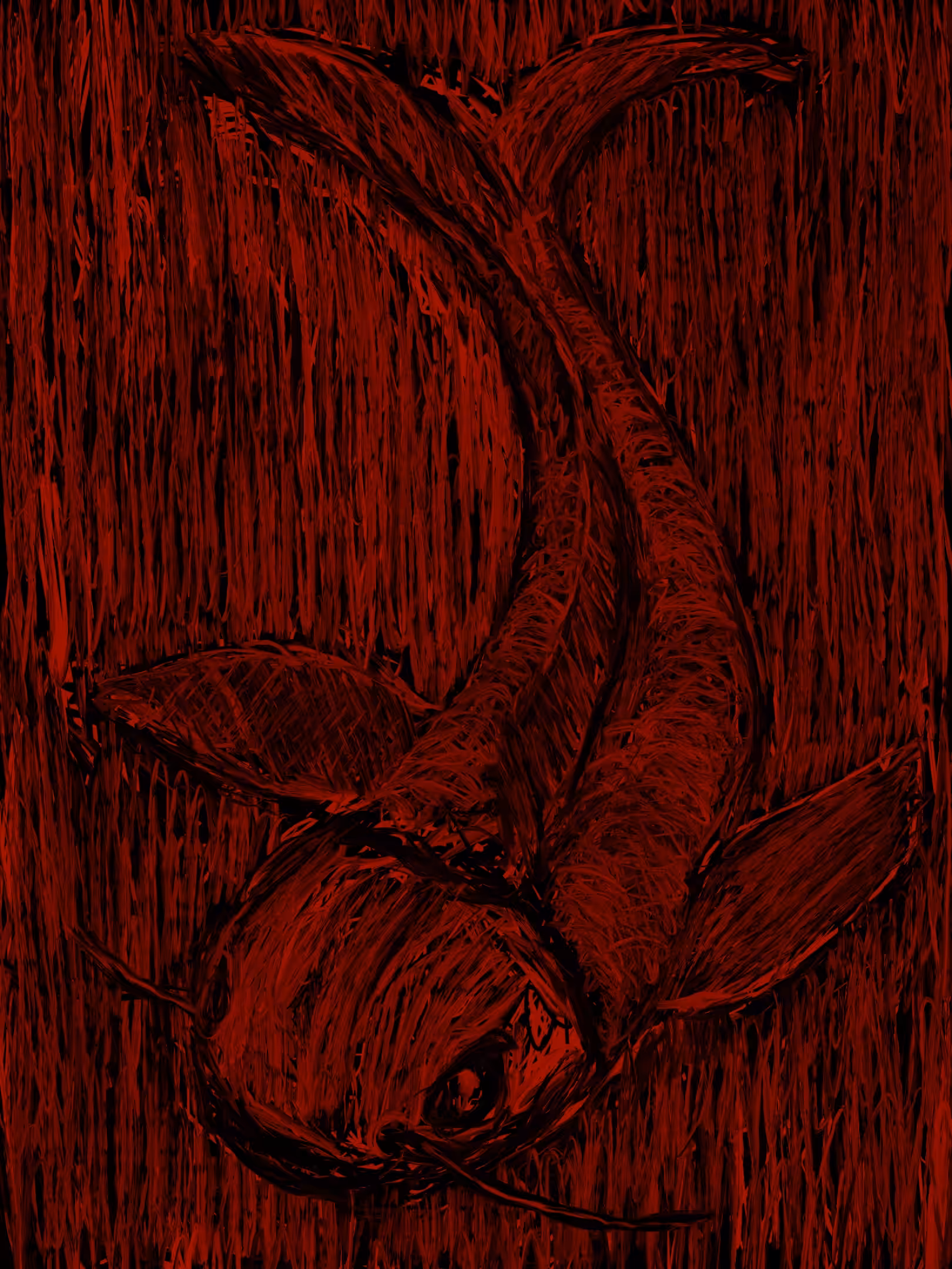 Red Fish