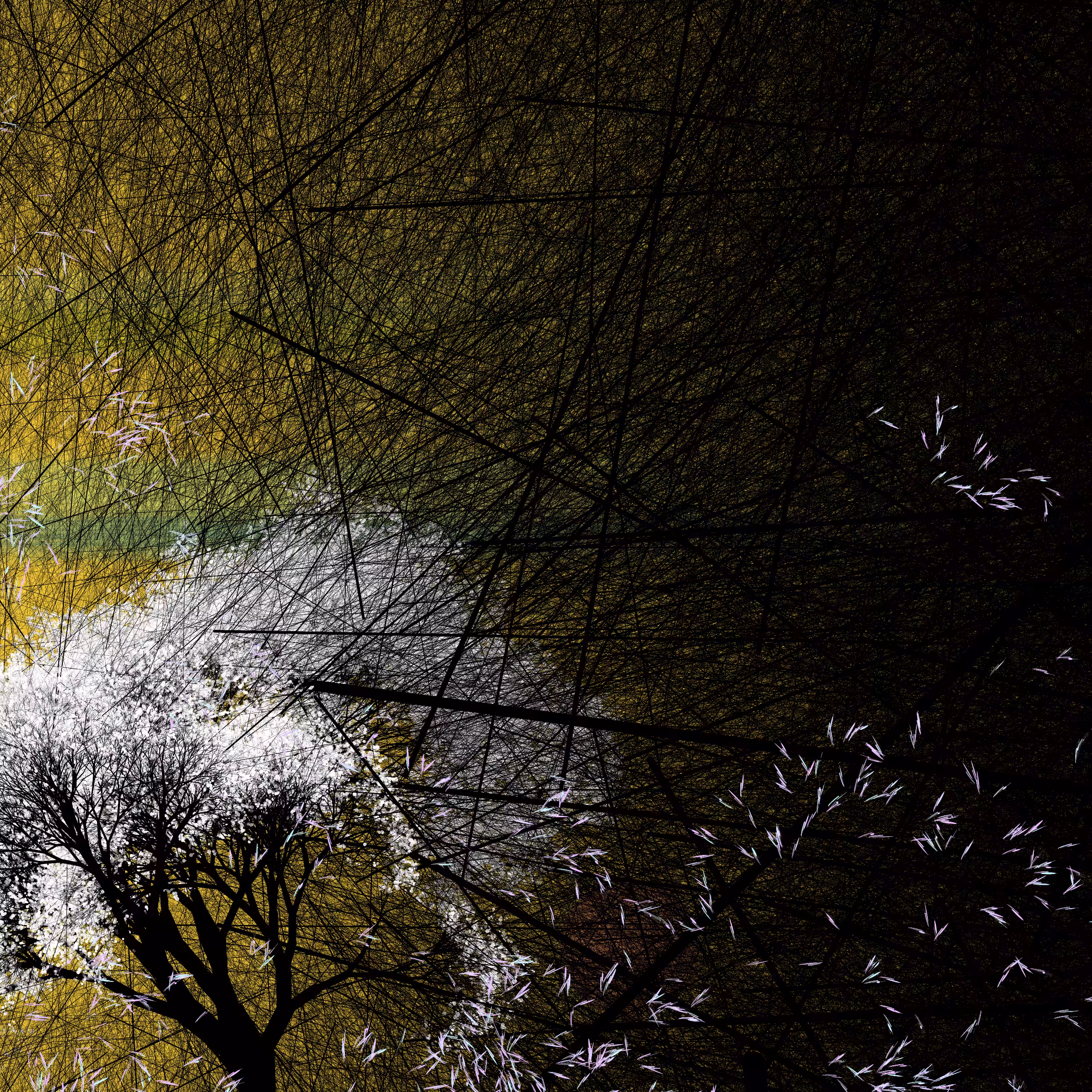 conversation with the wind #782