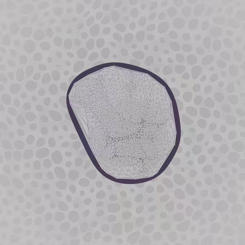 Protista #5