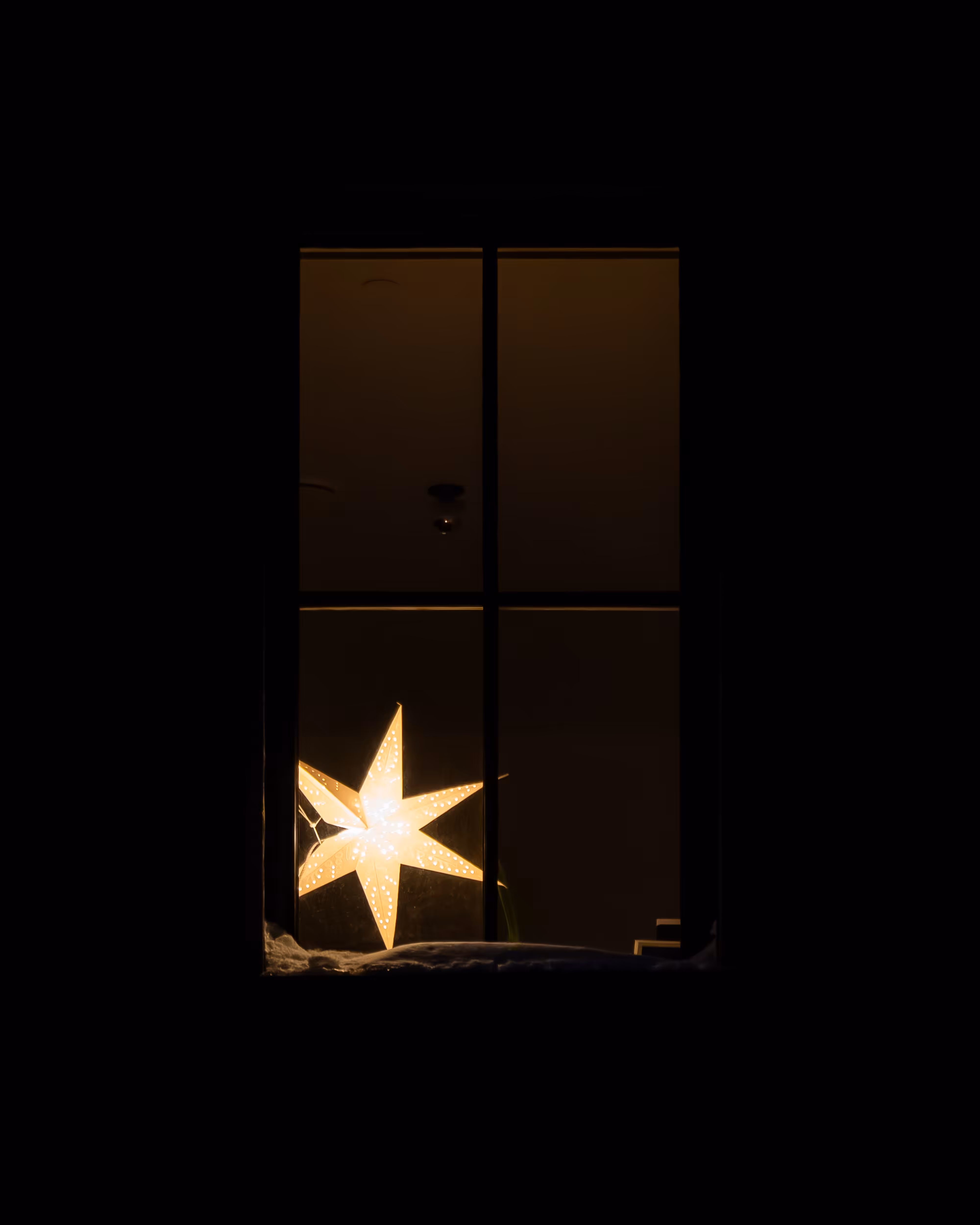 WINDOW 366