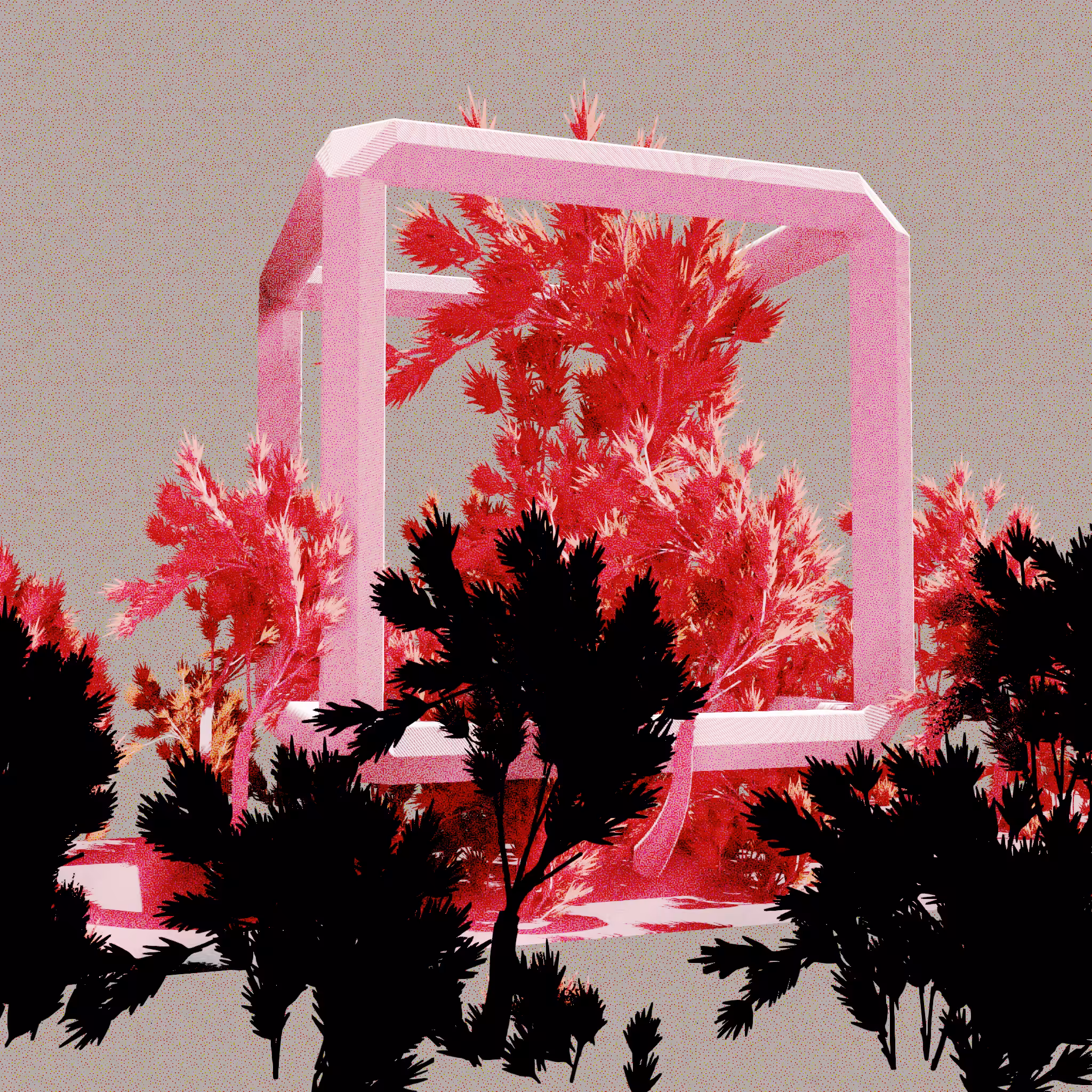 Urban Flora #320
