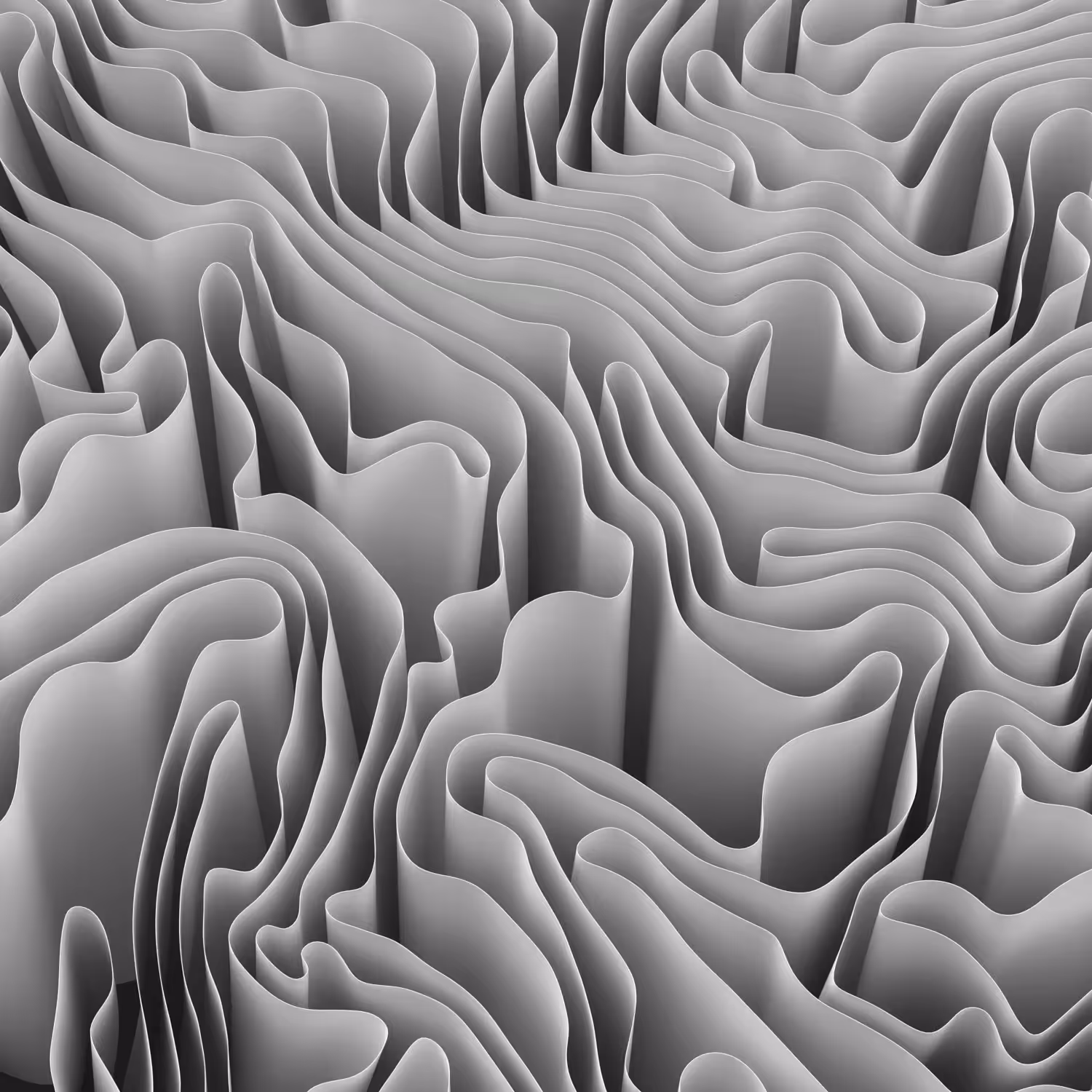 Folds