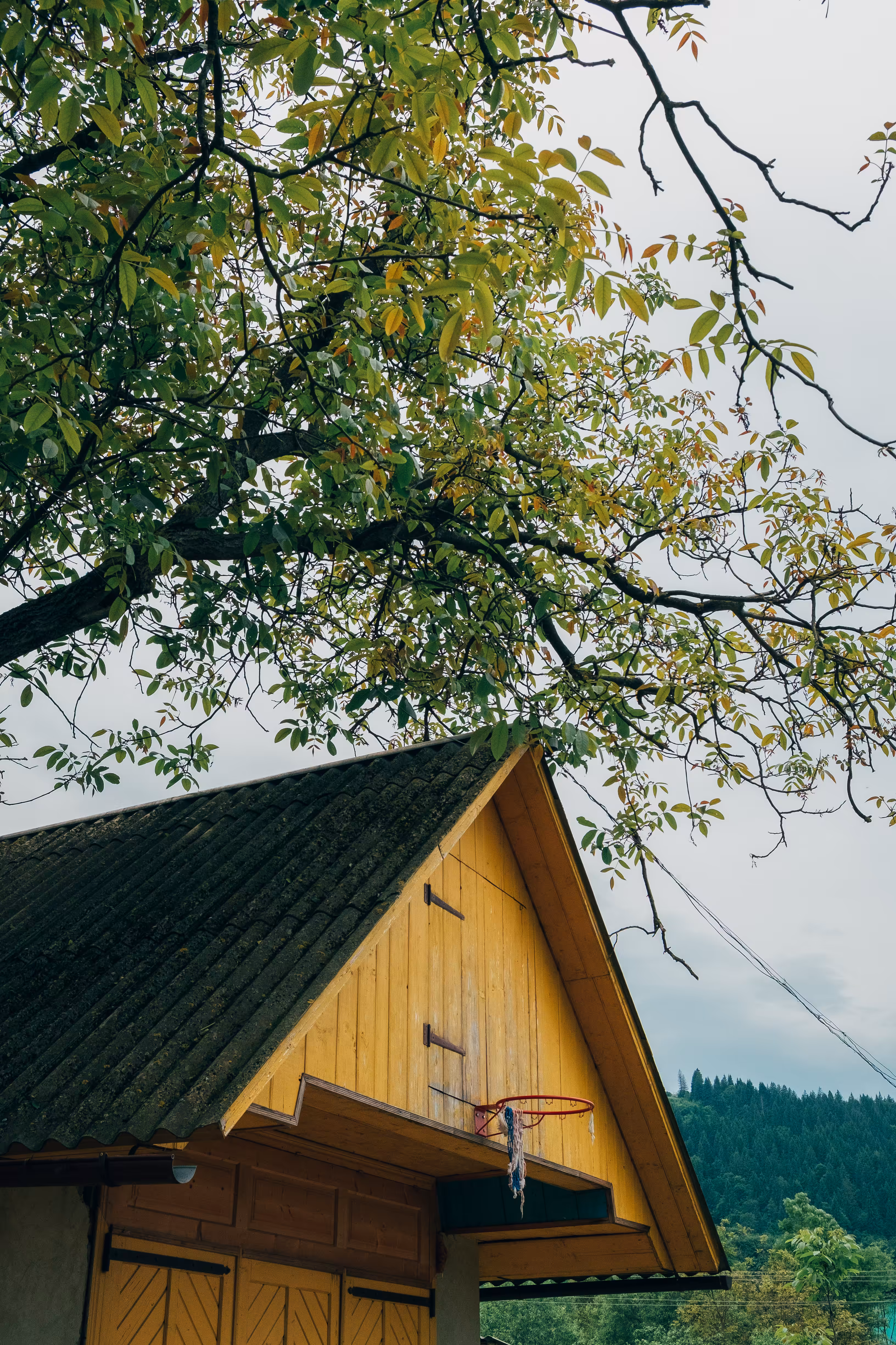 Basketball hoop on a yellow barn, Carpathian village, Ukraine