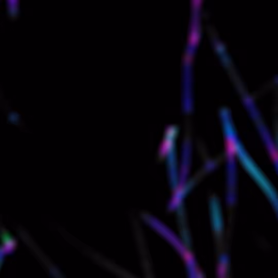 FILAMENTS