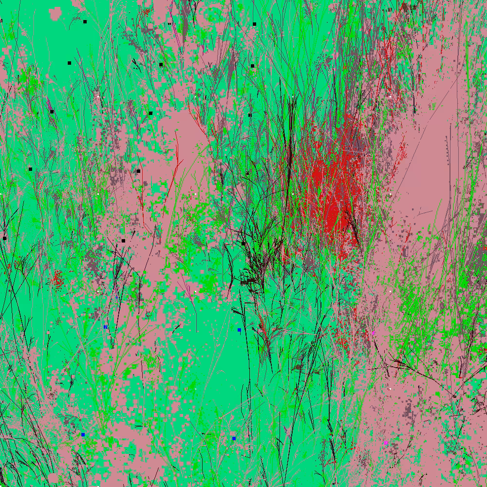 Infinite Garden: 26205 Flowers