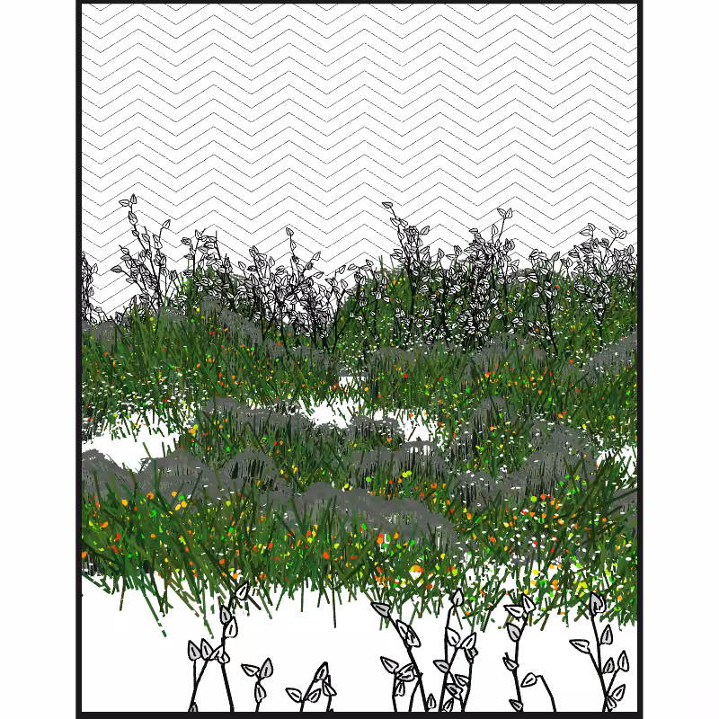Contours #41