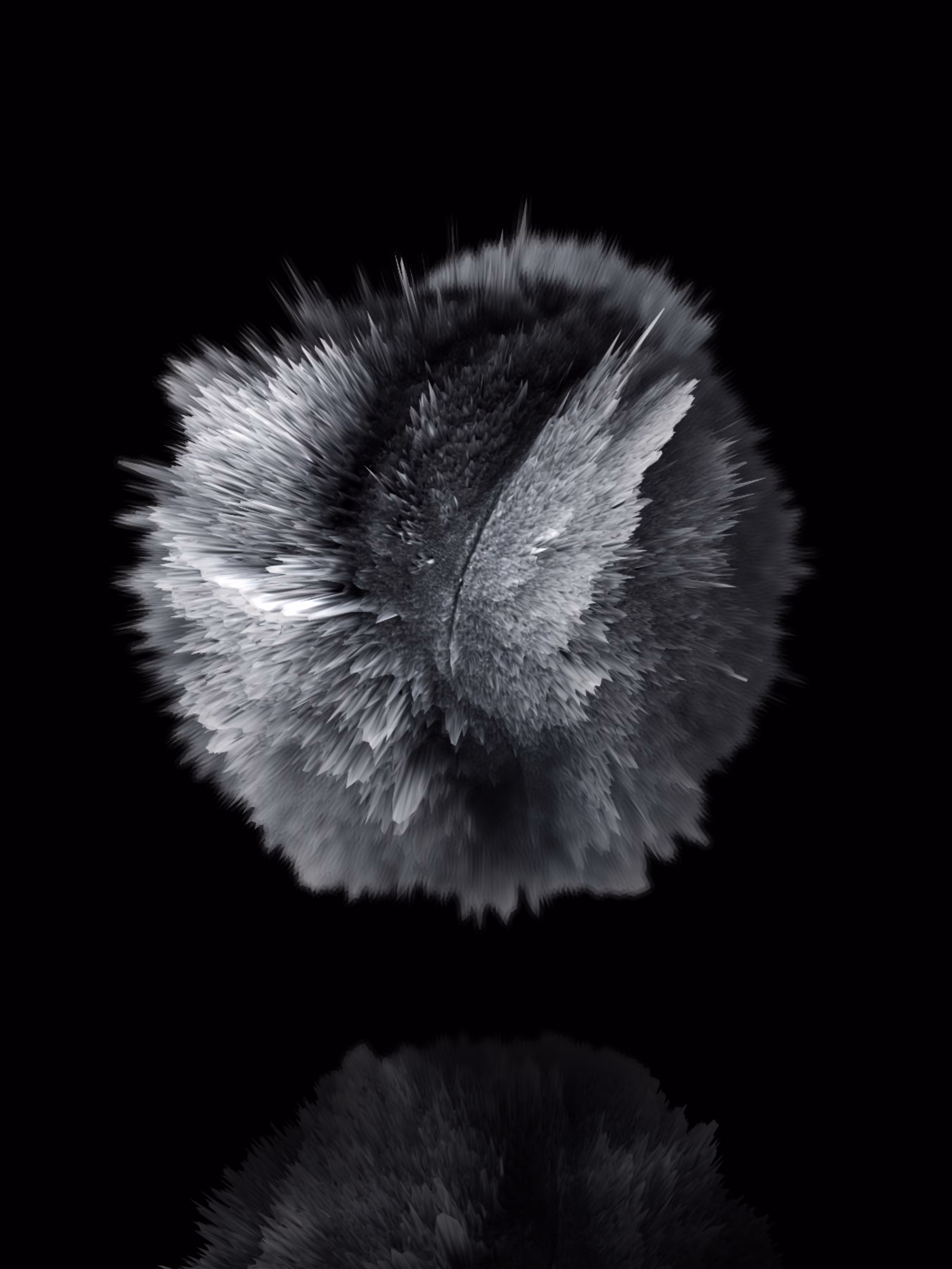 S.FE/05[-43.3°, 343.1°]