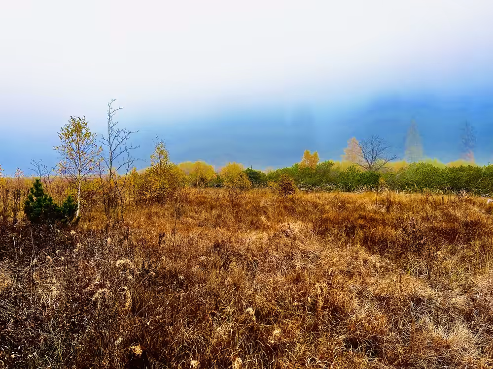 Fall #1 Pondalp #1