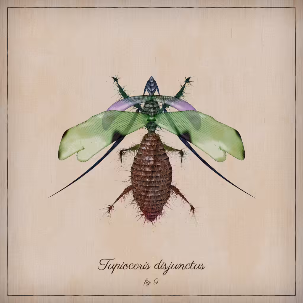 ProcGen Entomology #160