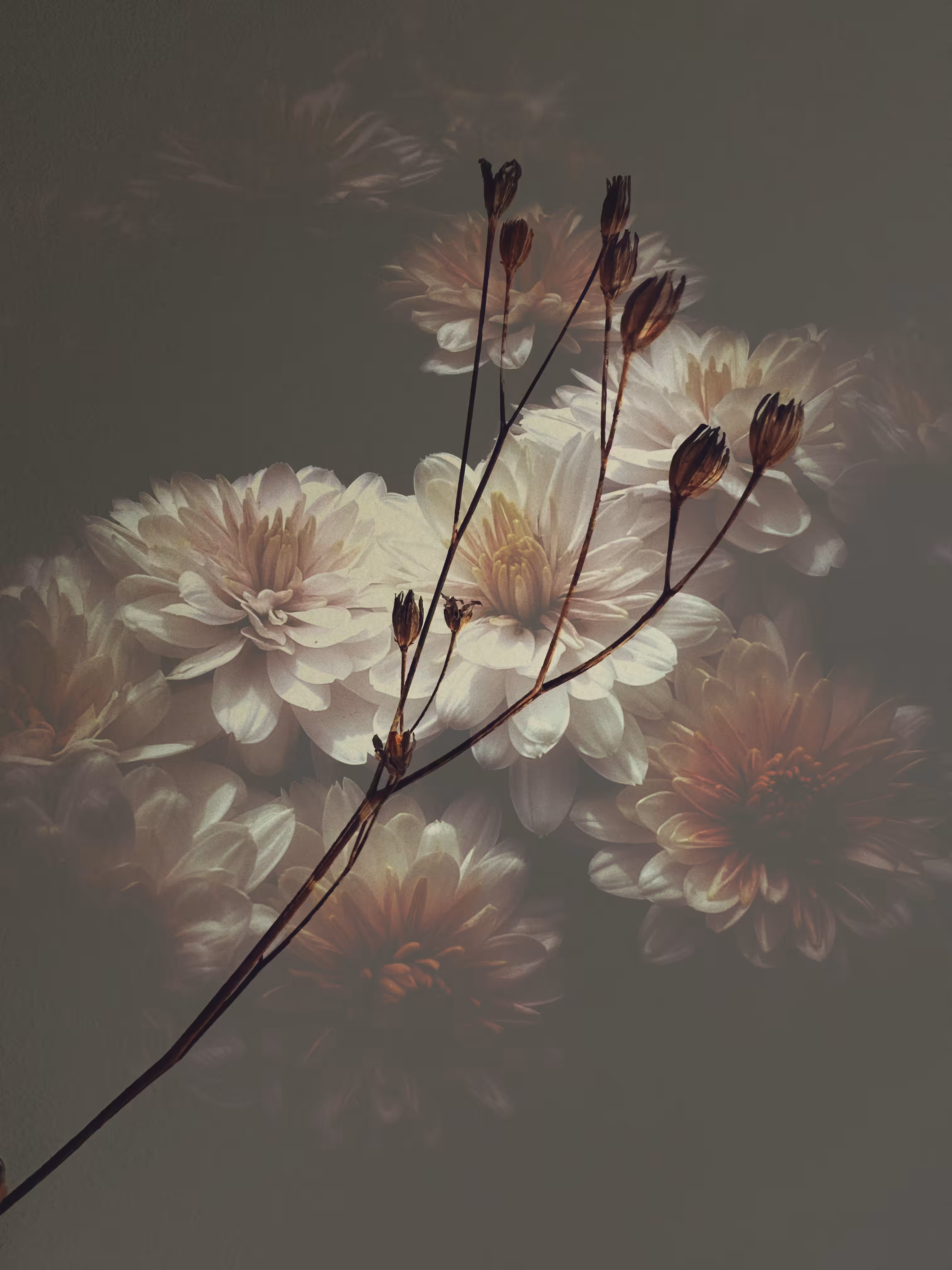 Natural Harmonies ~ Burnished Gold