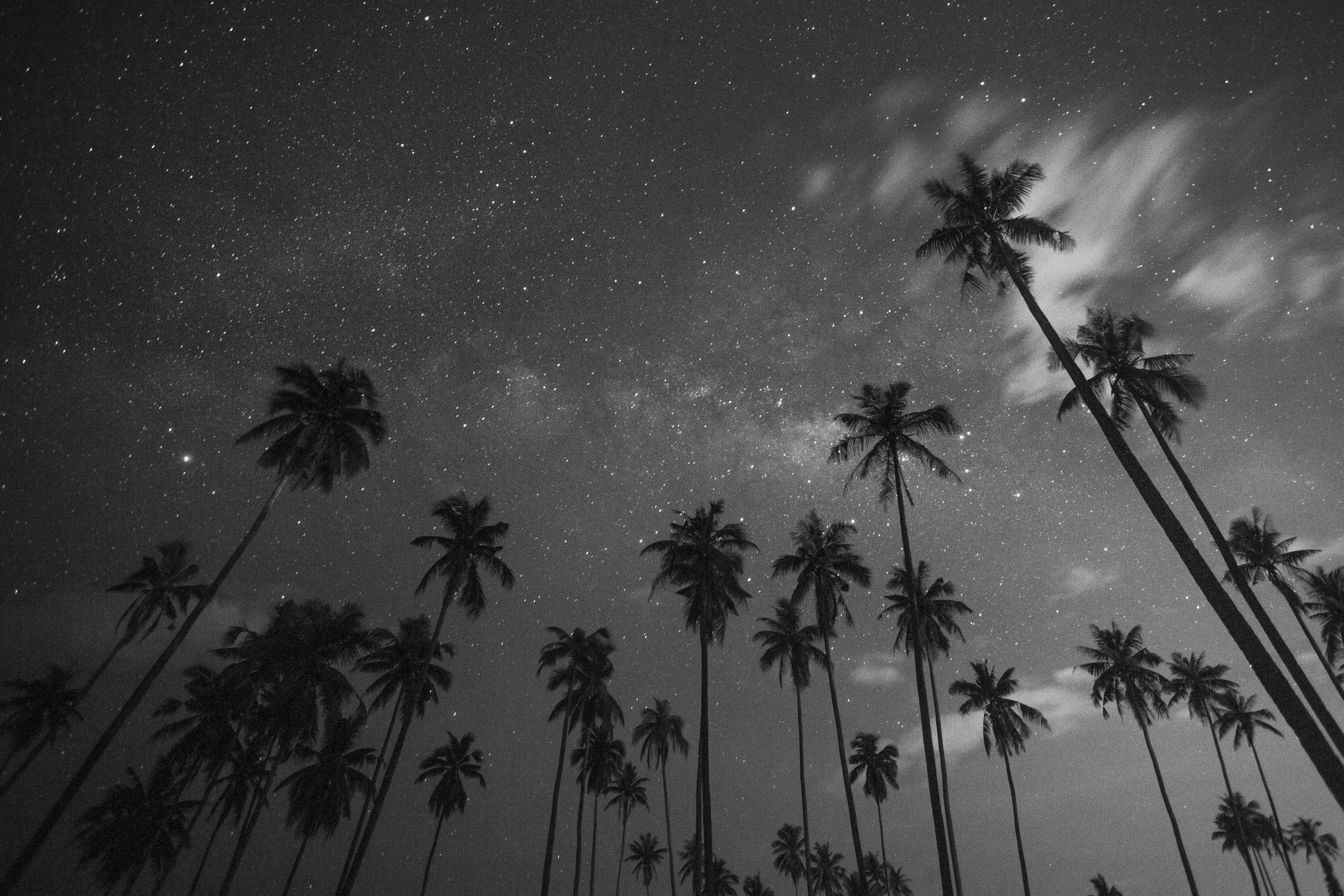 Grow up to the stars.