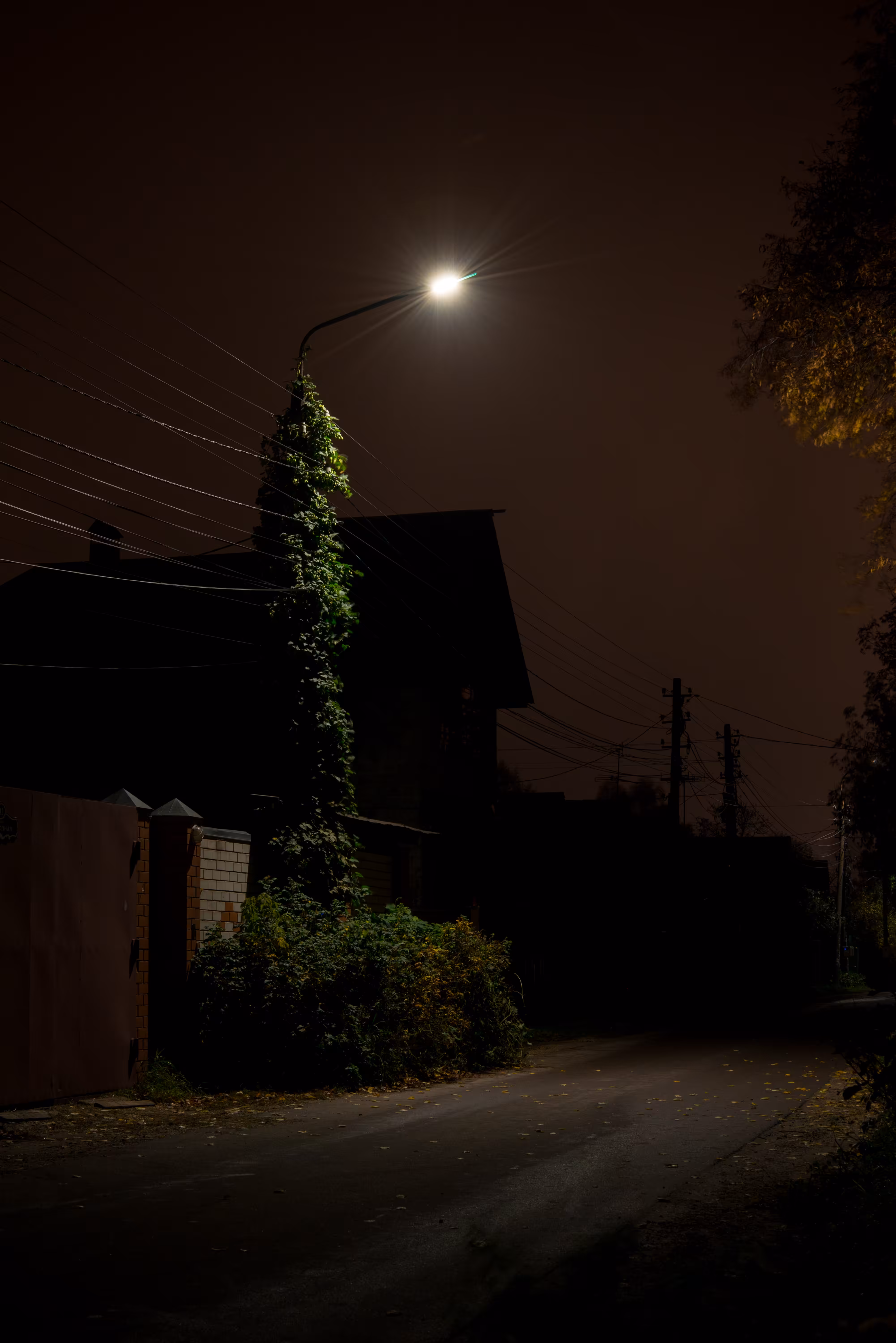 lightsinthedark: dsc3908