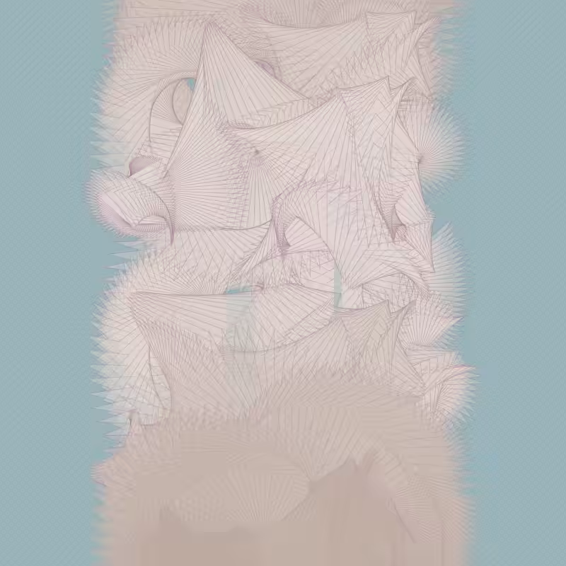 Braids/burdens #26