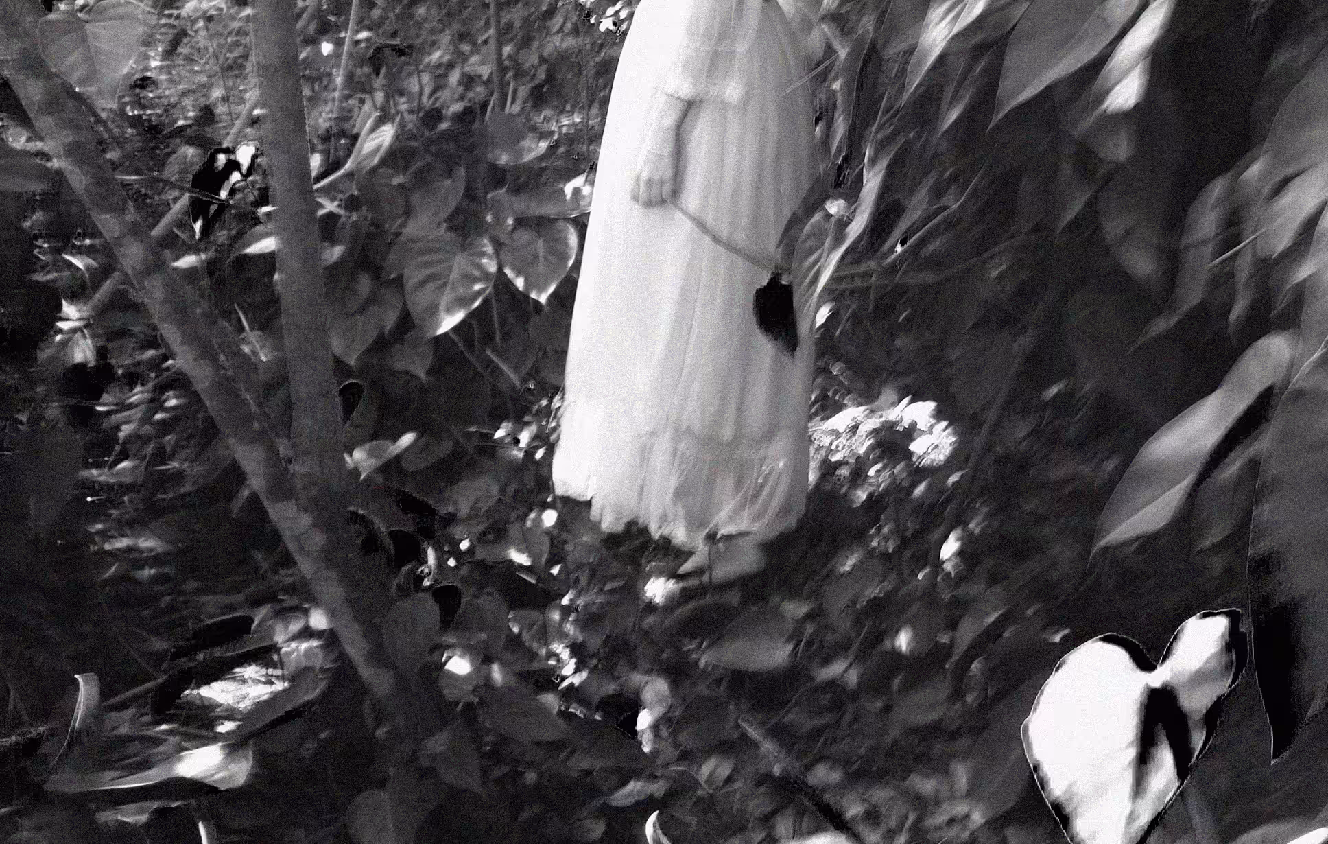 First death