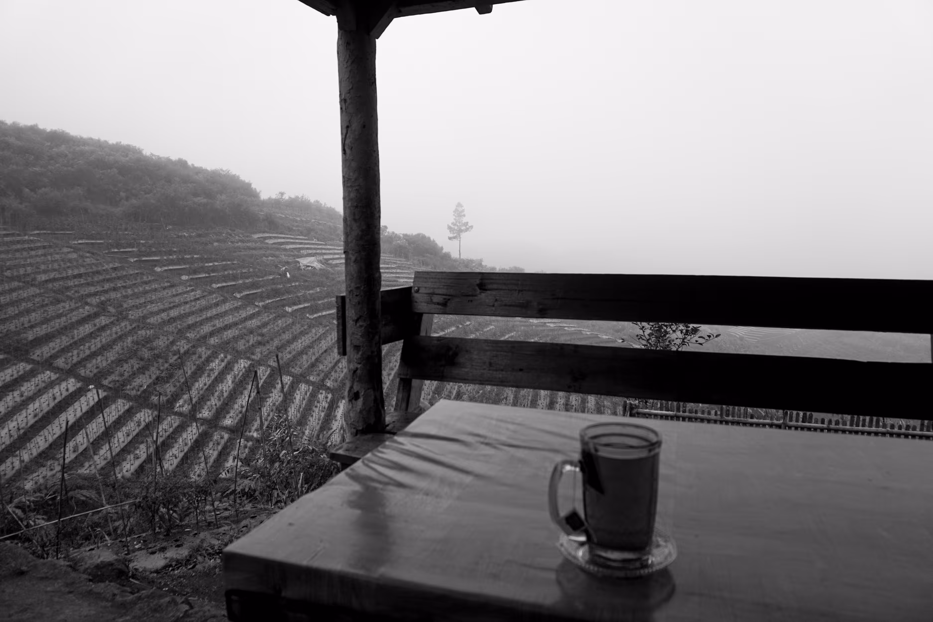 Take a Break