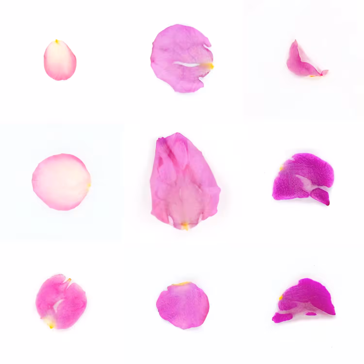 Infinite Petals 3x3#3516