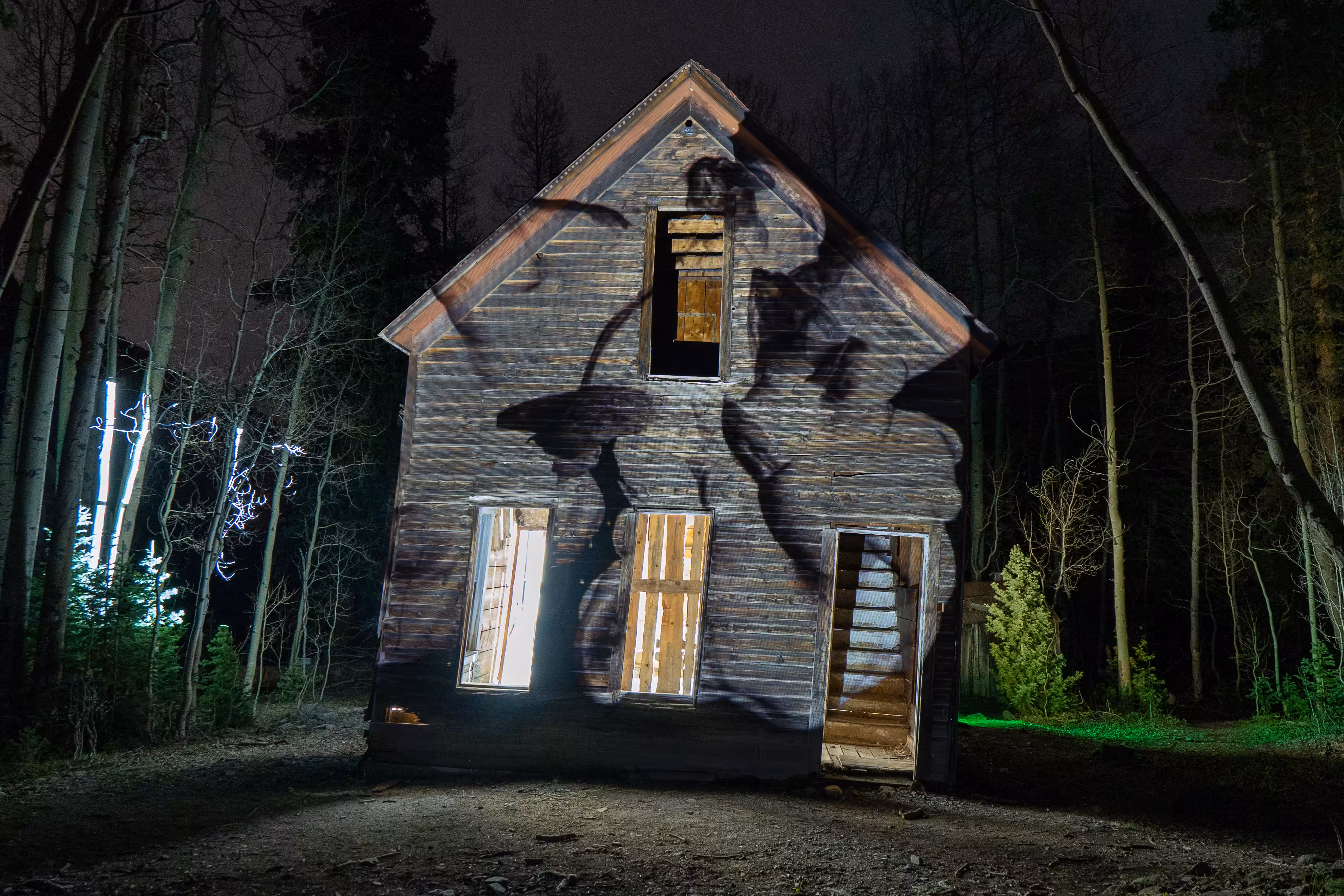 Something Beautiful is Dying: Apparition