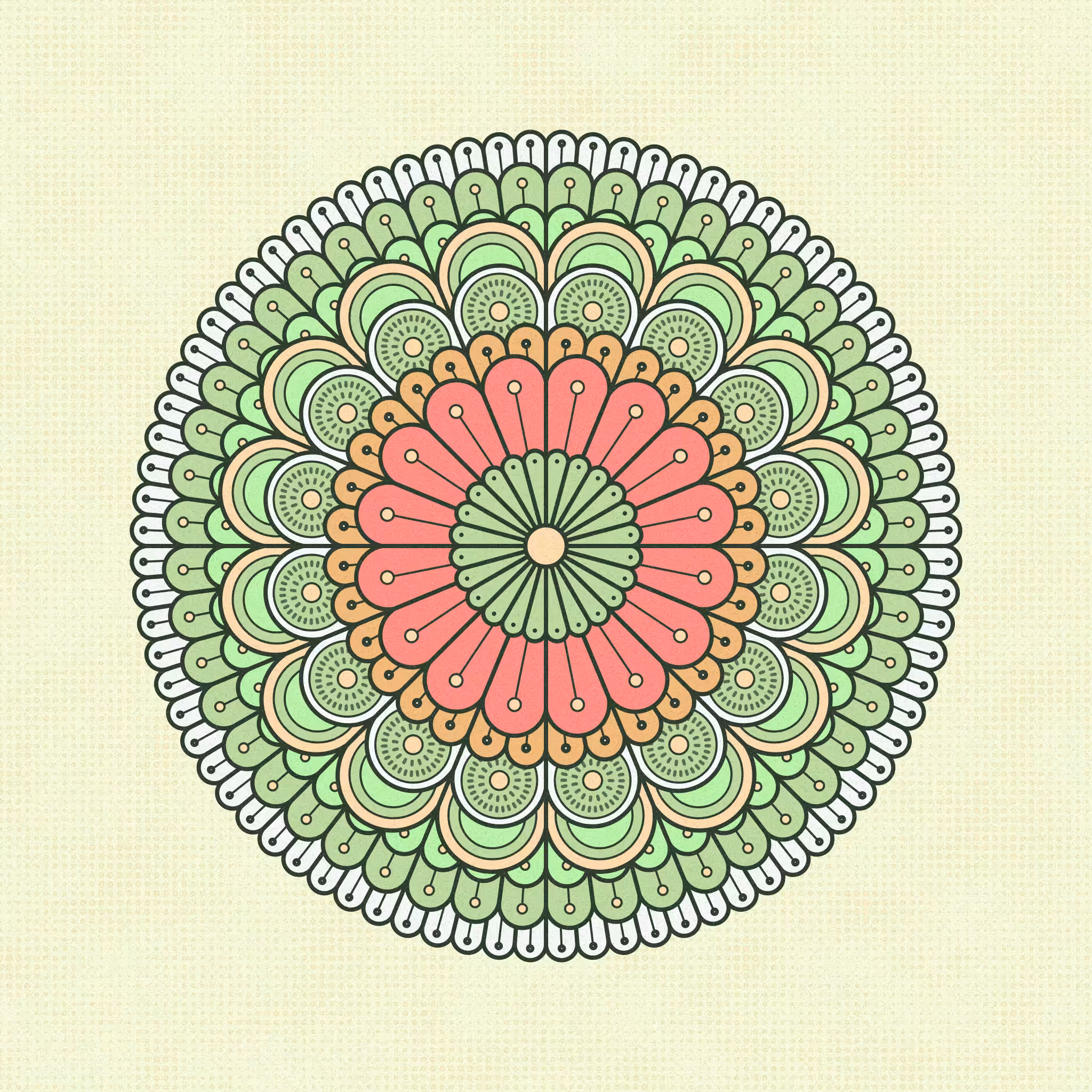 metamorph. #41