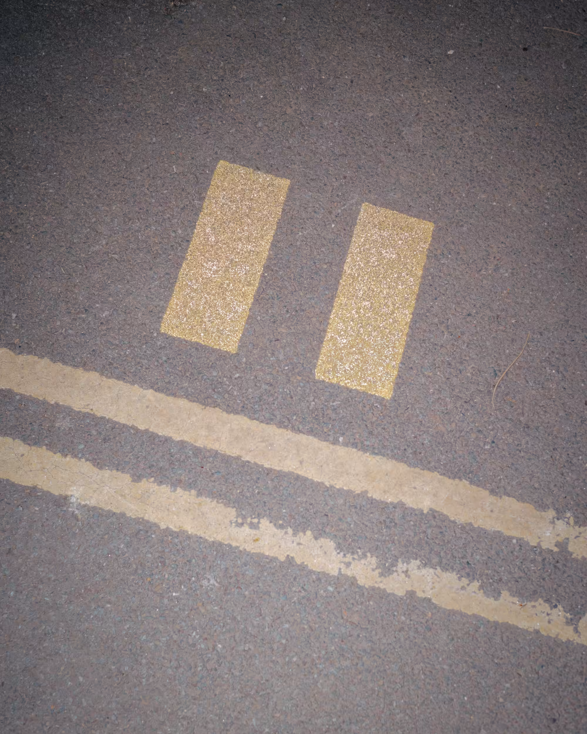 PhotoFilePhrens #58