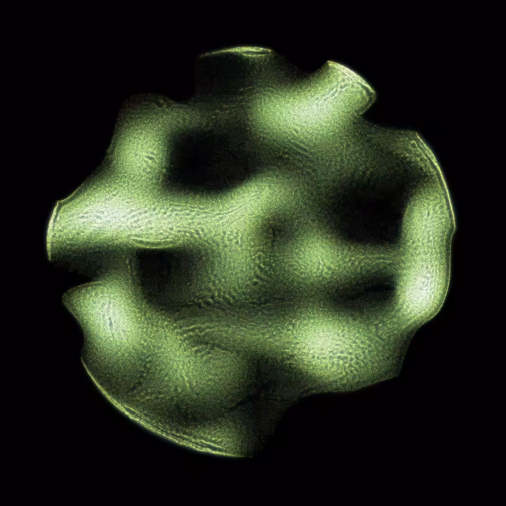 PETRI #90
