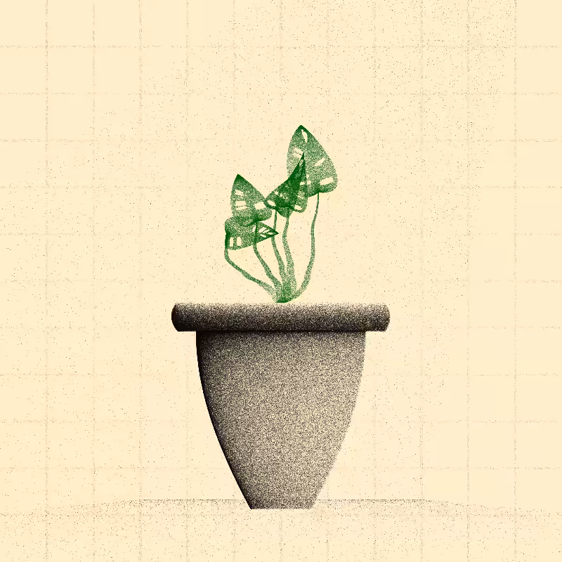 🌱 Potted & Printed #331