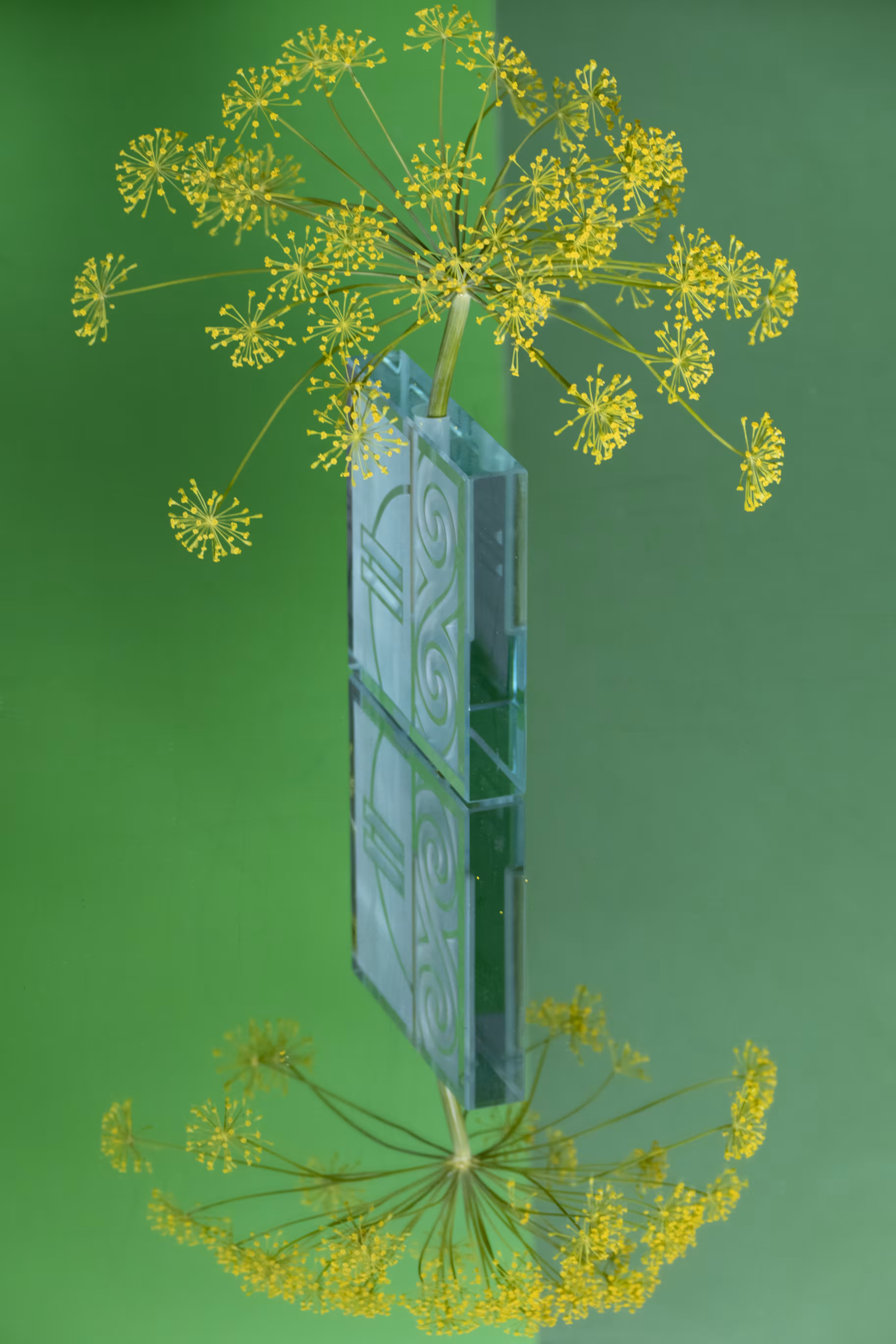 Still Life #13