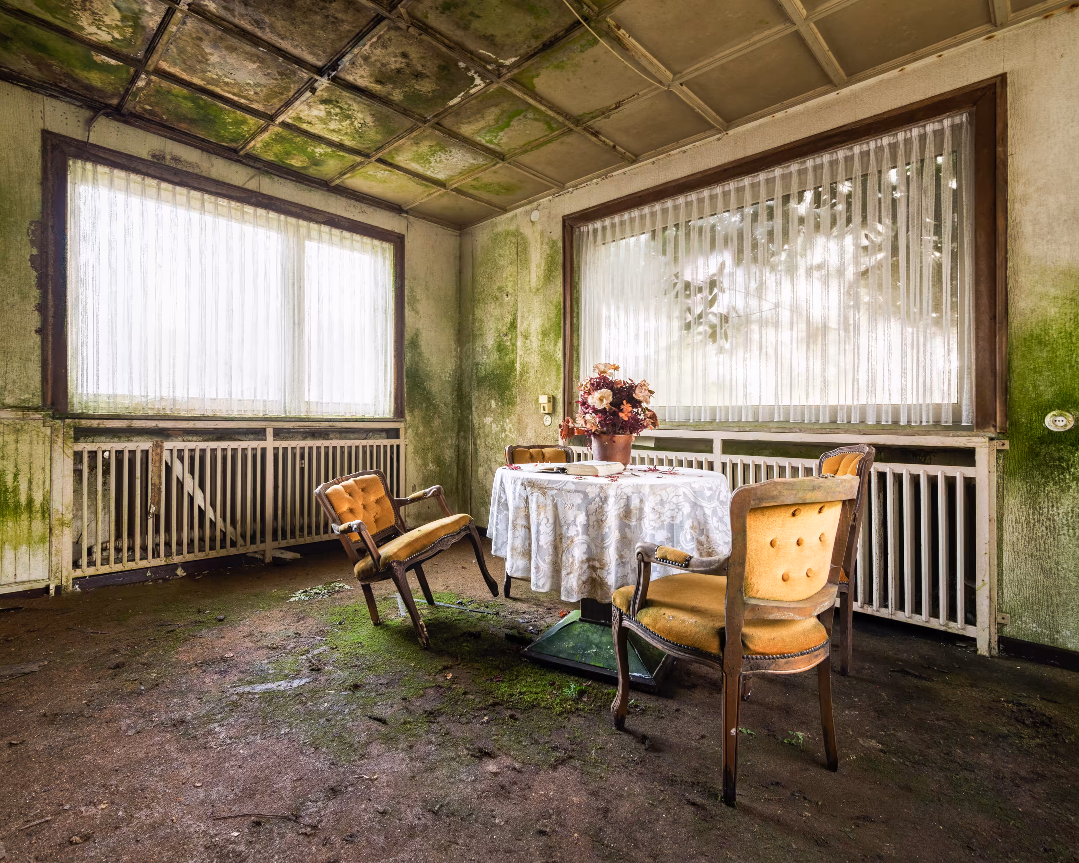 Memento Mori For Mold Hotel
